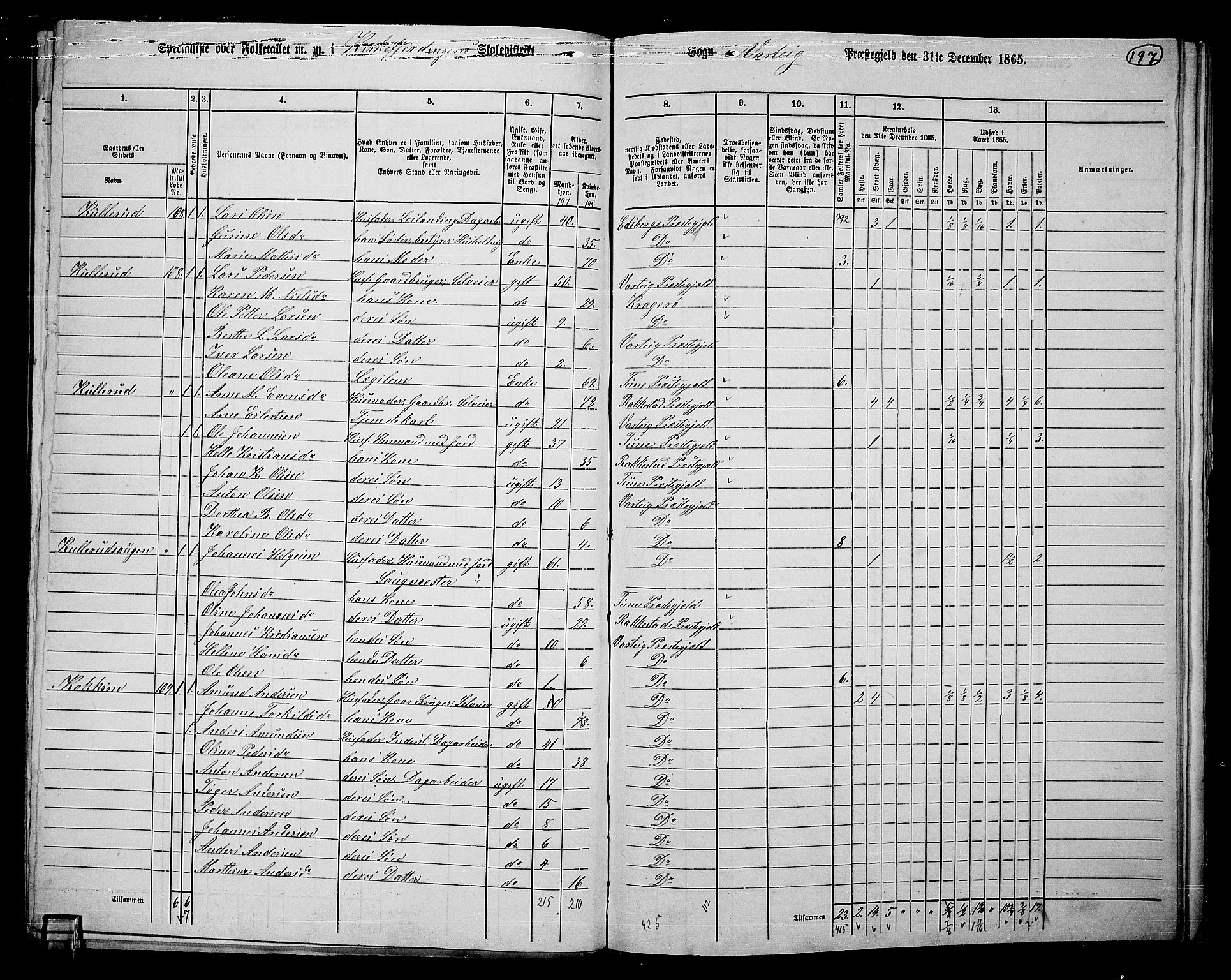 RA, 1865 census for Varteig, 1865, p. 20