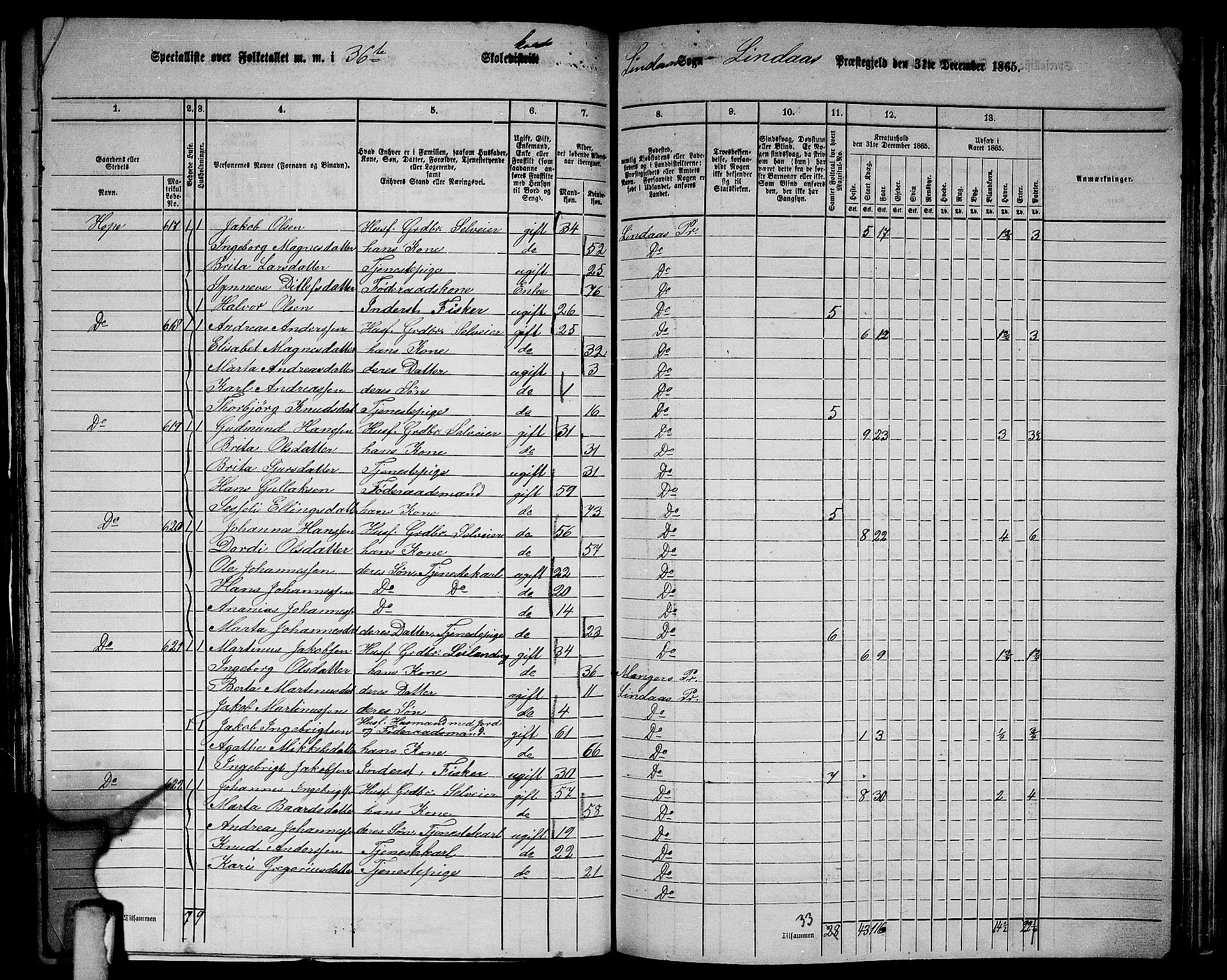 RA, 1865 census for Lindås, 1865, p. 233