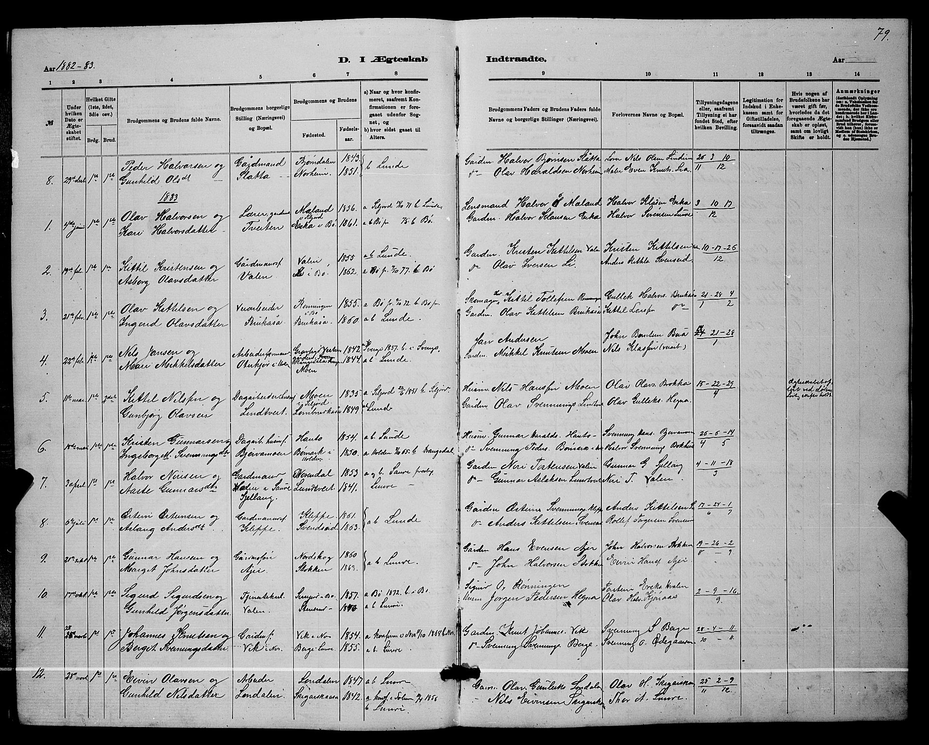 Lunde kirkebøker, AV/SAKO-A-282/G/Ga/L0001b: Parish register (copy) no. I 1, 1879-1887, p. 79