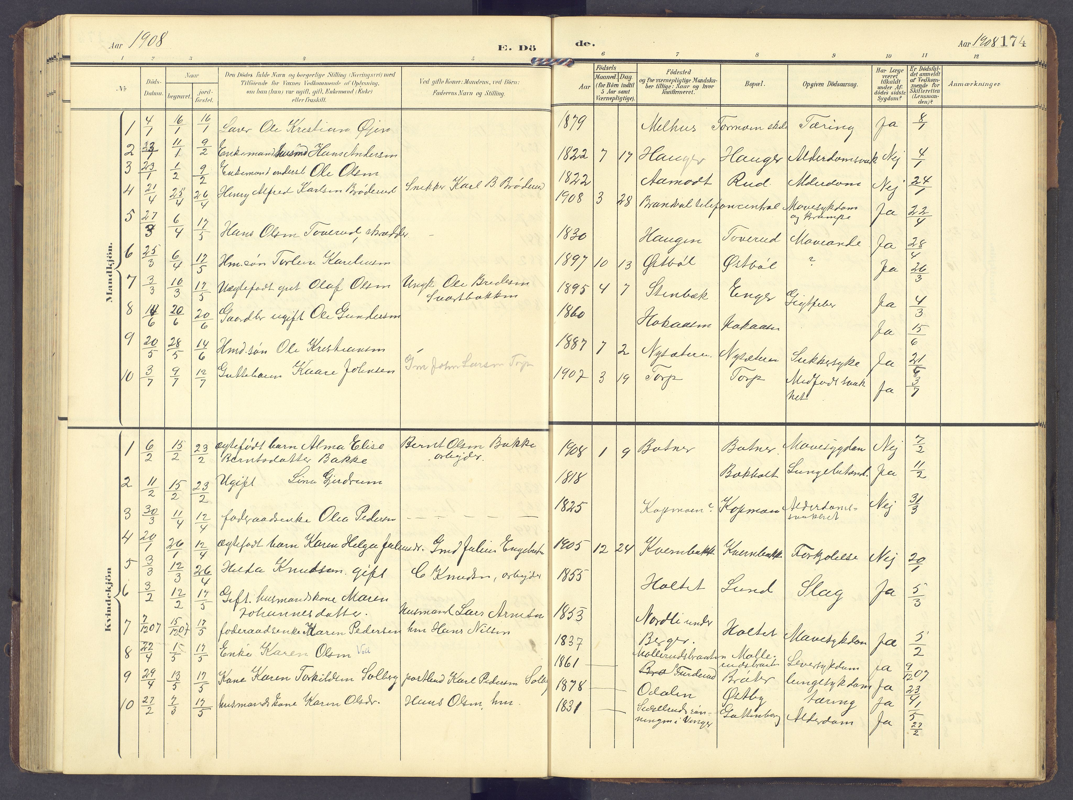 Brandval prestekontor, AV/SAH-PREST-034/H/Ha/Hab/L0003: Parish register (copy) no. 3, 1904-1917, p. 174