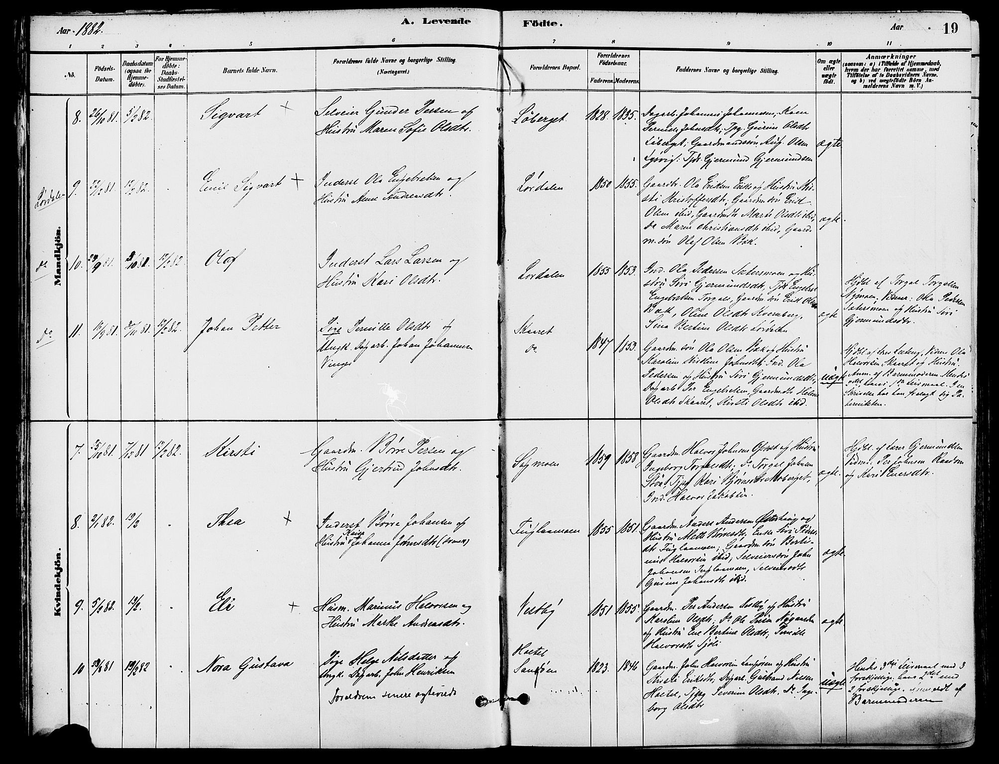 Trysil prestekontor, AV/SAH-PREST-046/H/Ha/Haa/L0008: Parish register (official) no. 8, 1881-1897, p. 19