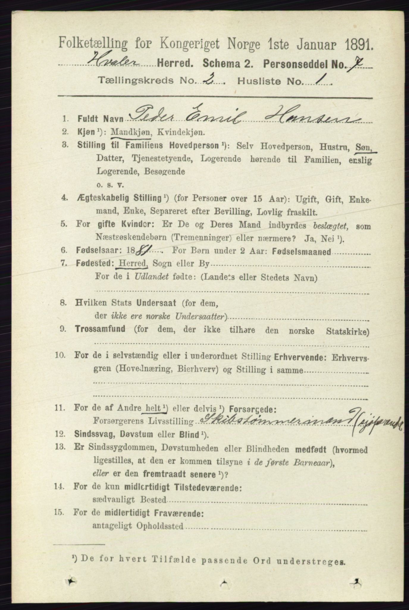 RA, 1891 census for 0111 Hvaler, 1891, p. 1011