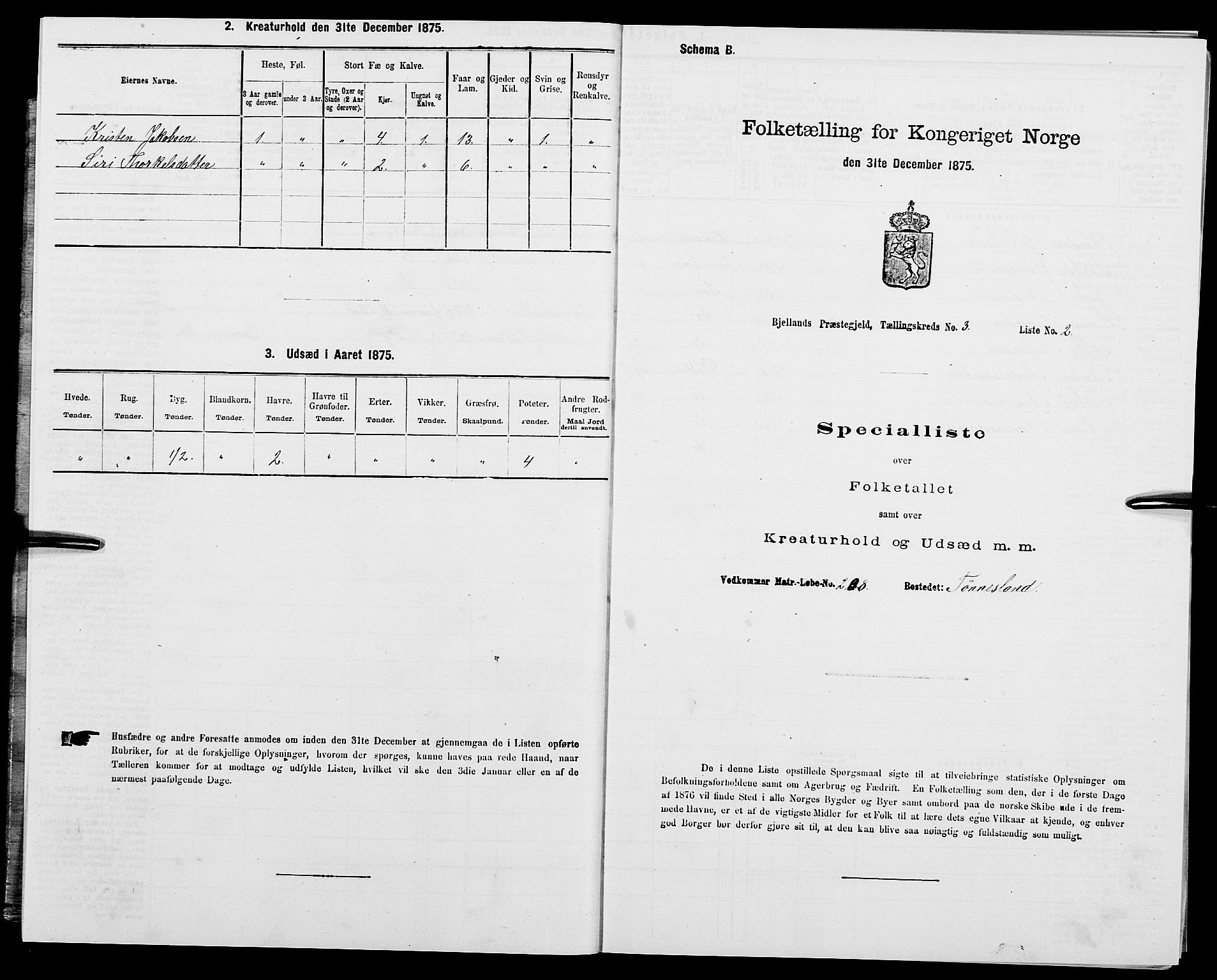 SAK, 1875 census for 1024P Bjelland, 1875, p. 268