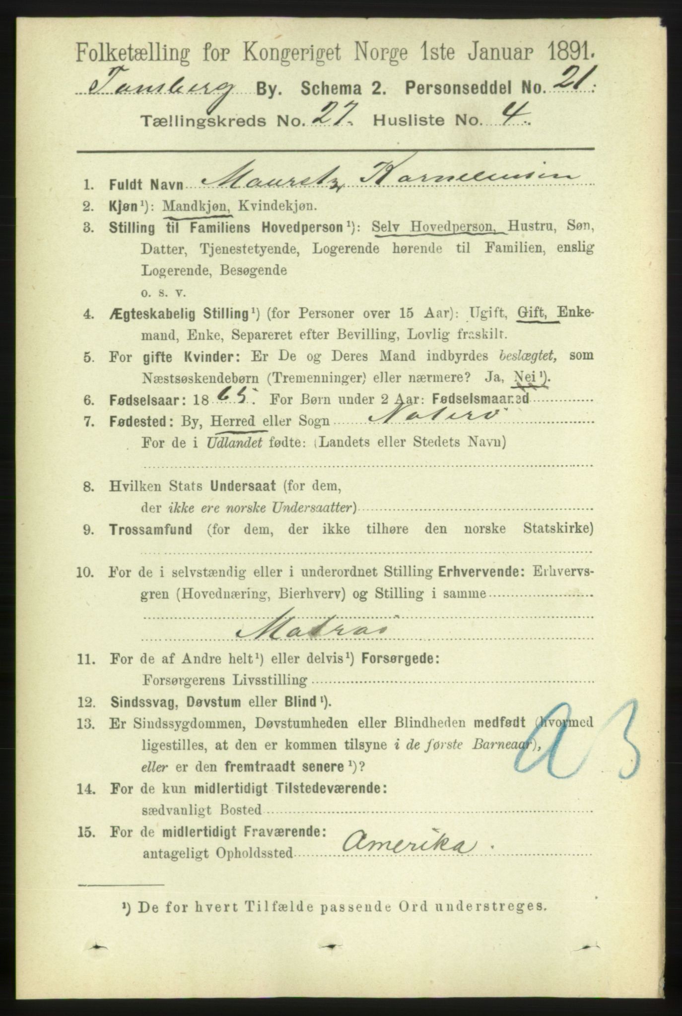 RA, 1891 census for 0705 Tønsberg, 1891, p. 6822