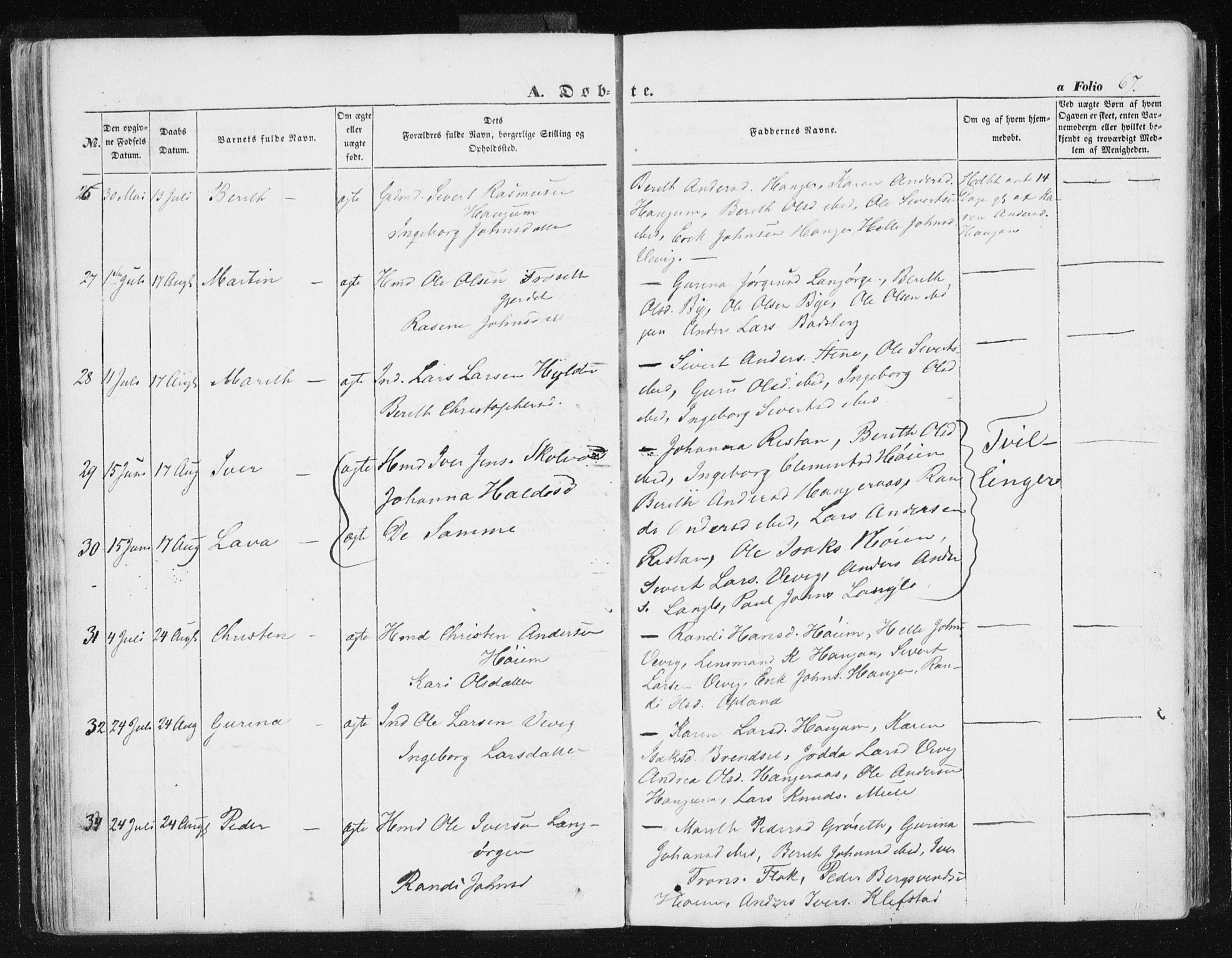 Ministerialprotokoller, klokkerbøker og fødselsregistre - Sør-Trøndelag, AV/SAT-A-1456/612/L0376: Parish register (official) no. 612A08, 1846-1859, p. 67