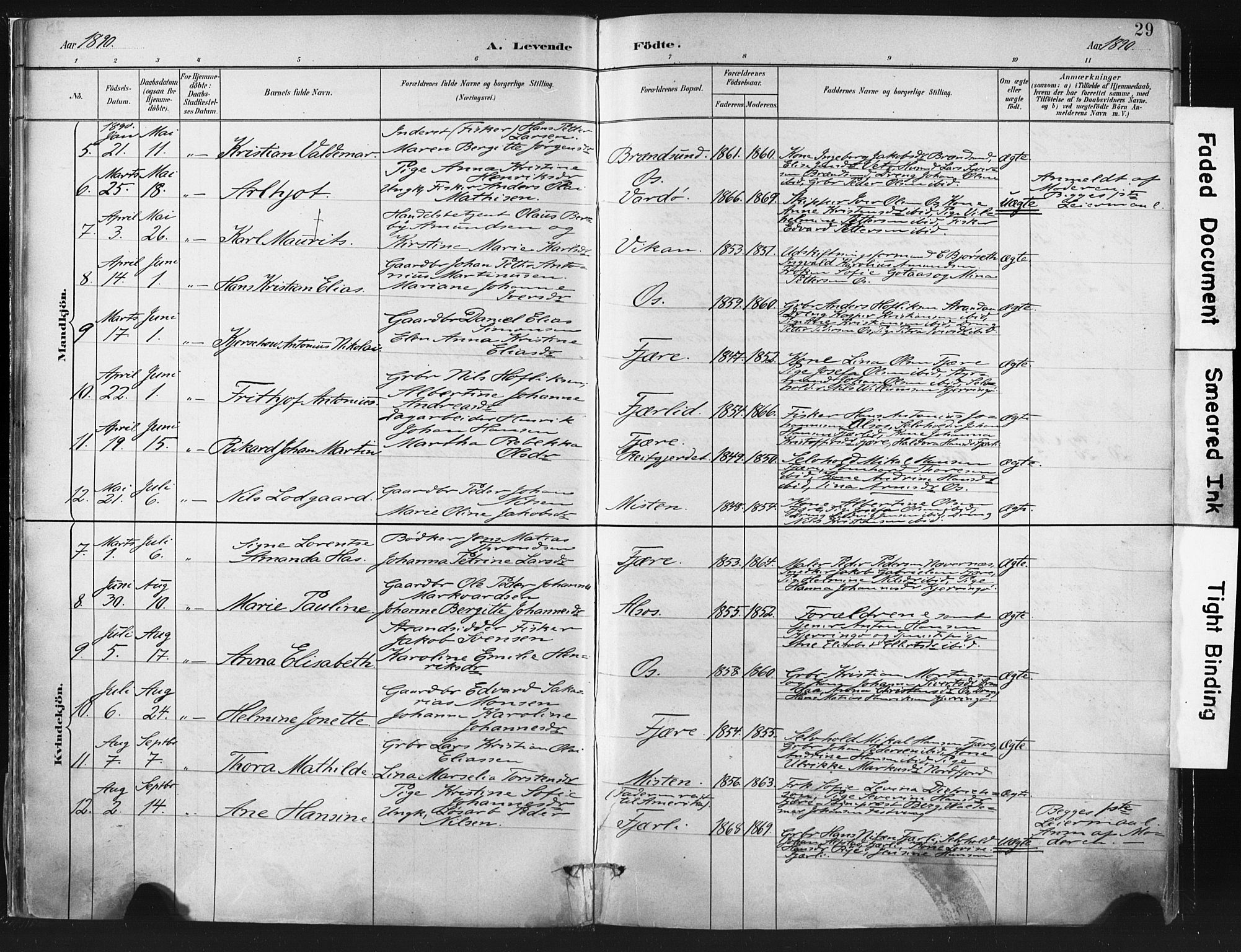 Ministerialprotokoller, klokkerbøker og fødselsregistre - Nordland, AV/SAT-A-1459/803/L0071: Parish register (official) no. 803A01, 1881-1897, p. 29