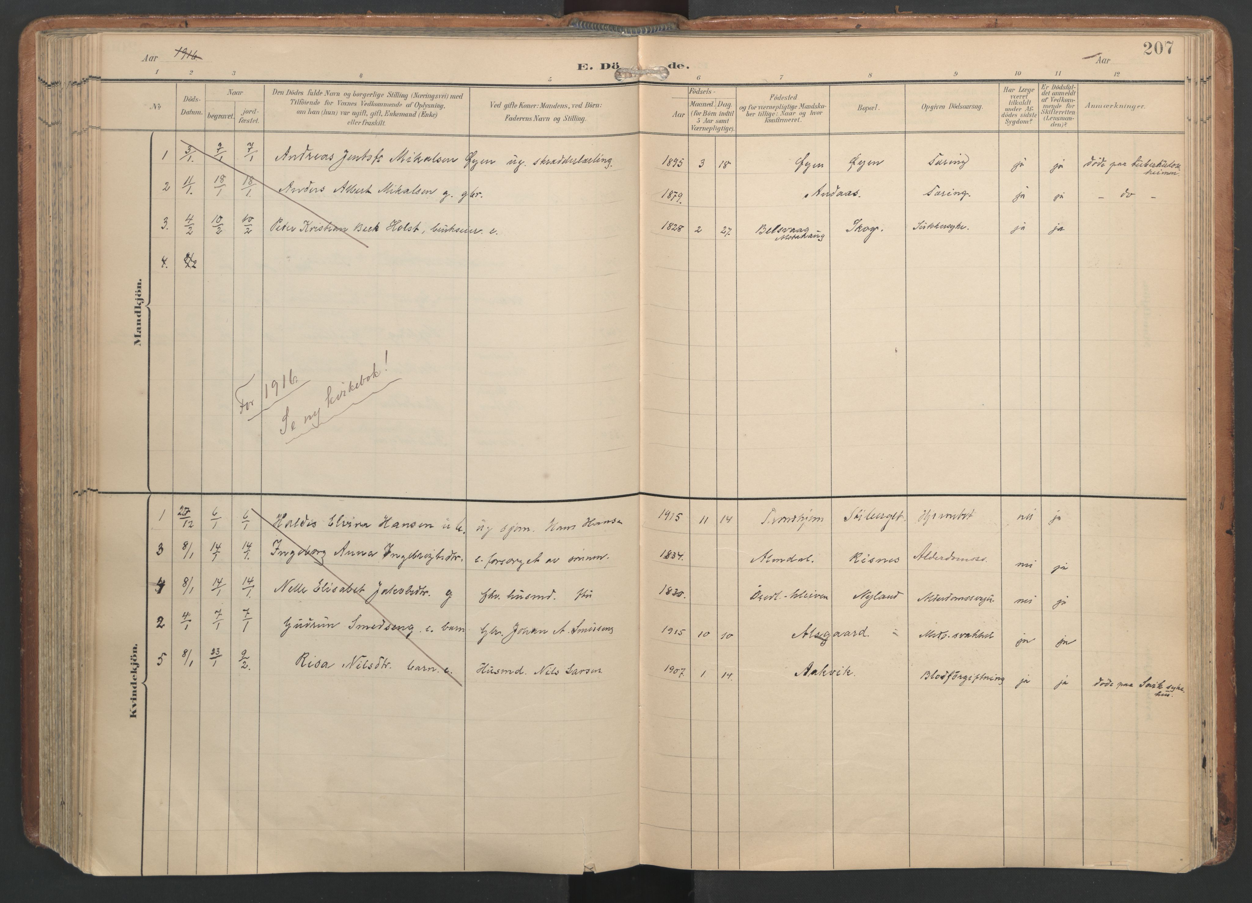 Ministerialprotokoller, klokkerbøker og fødselsregistre - Nordland, AV/SAT-A-1459/820/L0298: Parish register (official) no. 820A19, 1897-1915, p. 207