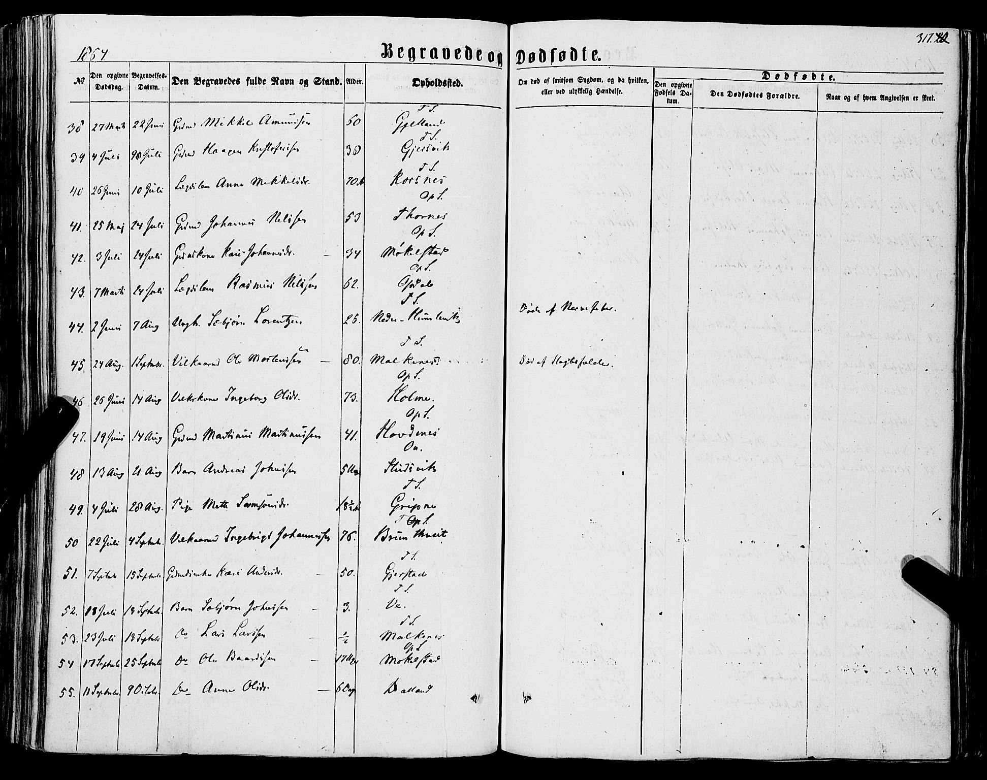 Tysnes sokneprestembete, AV/SAB-A-78601/H/Haa: Parish register (official) no. A 11, 1860-1871, p. 317