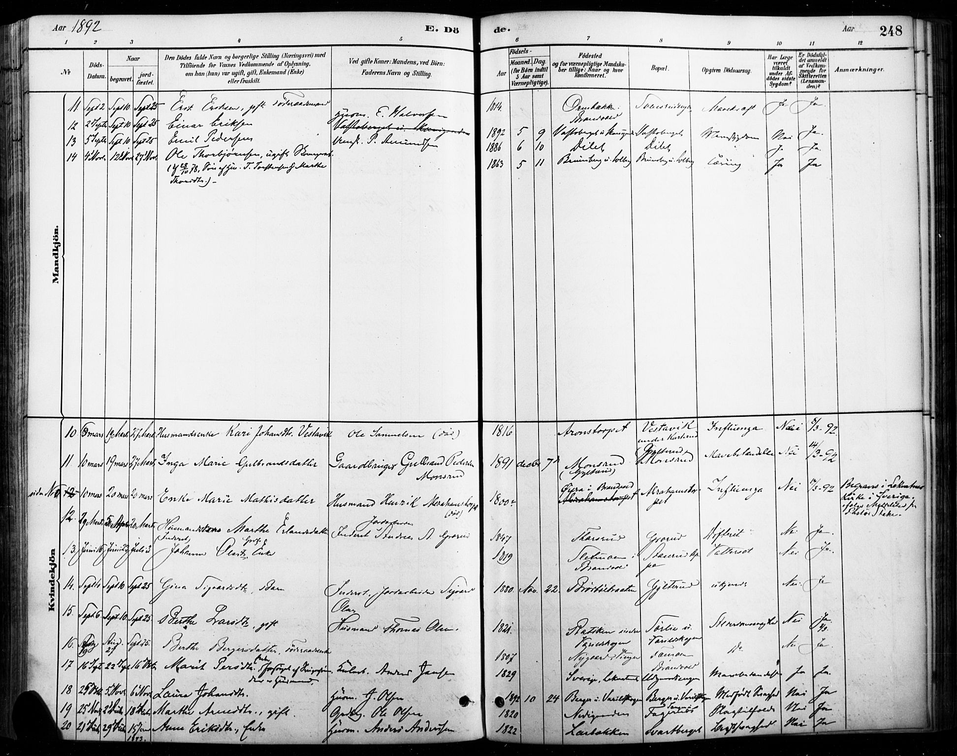 Vinger prestekontor, AV/SAH-PREST-024/H/Ha/Haa/L0015: Parish register (official) no. 15, 1881-1900, p. 248