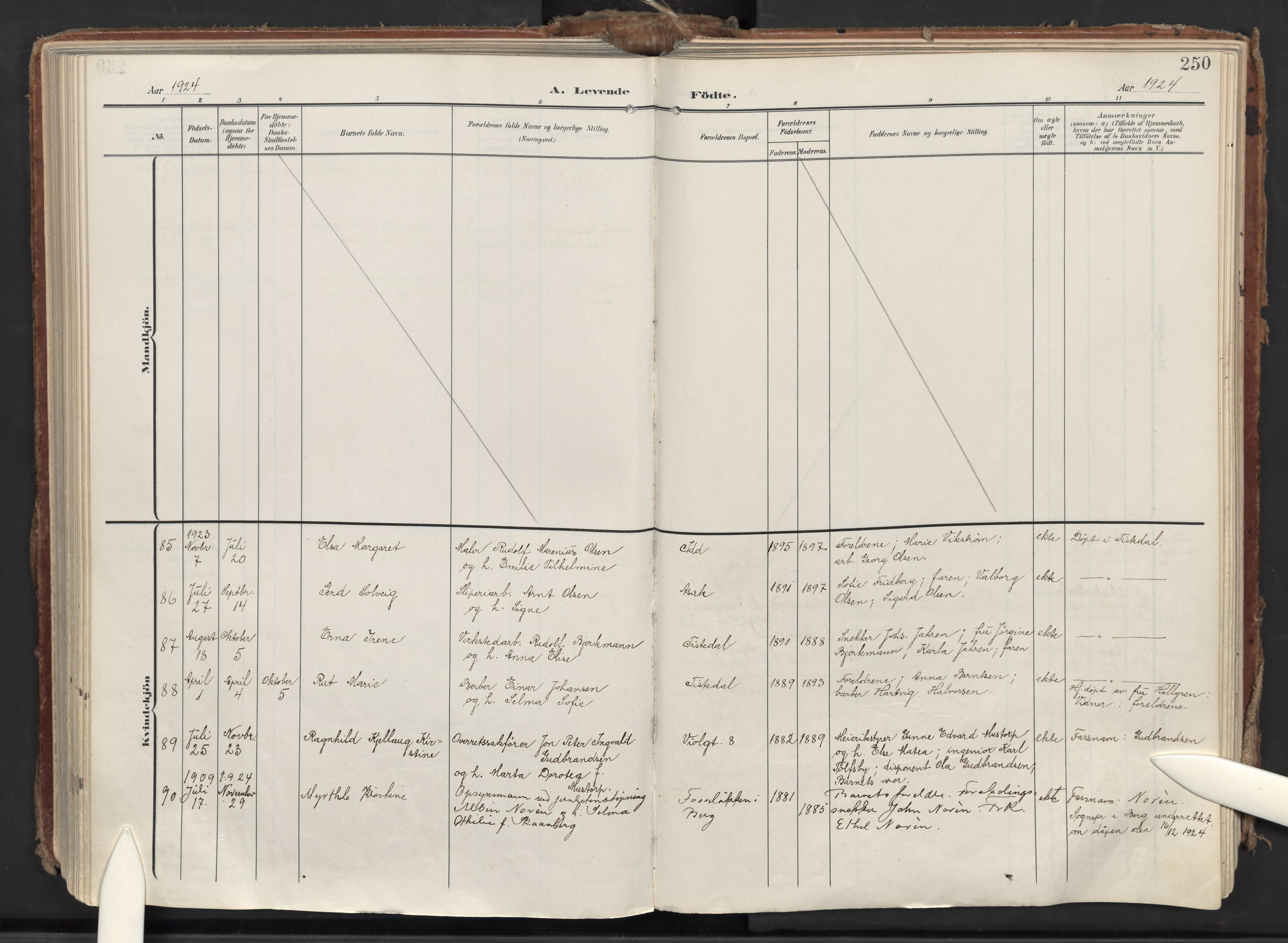 Halden prestekontor Kirkebøker, AV/SAO-A-10909/F/Fa/L0015: Parish register (official) no. I 15, 1907-1925, p. 250