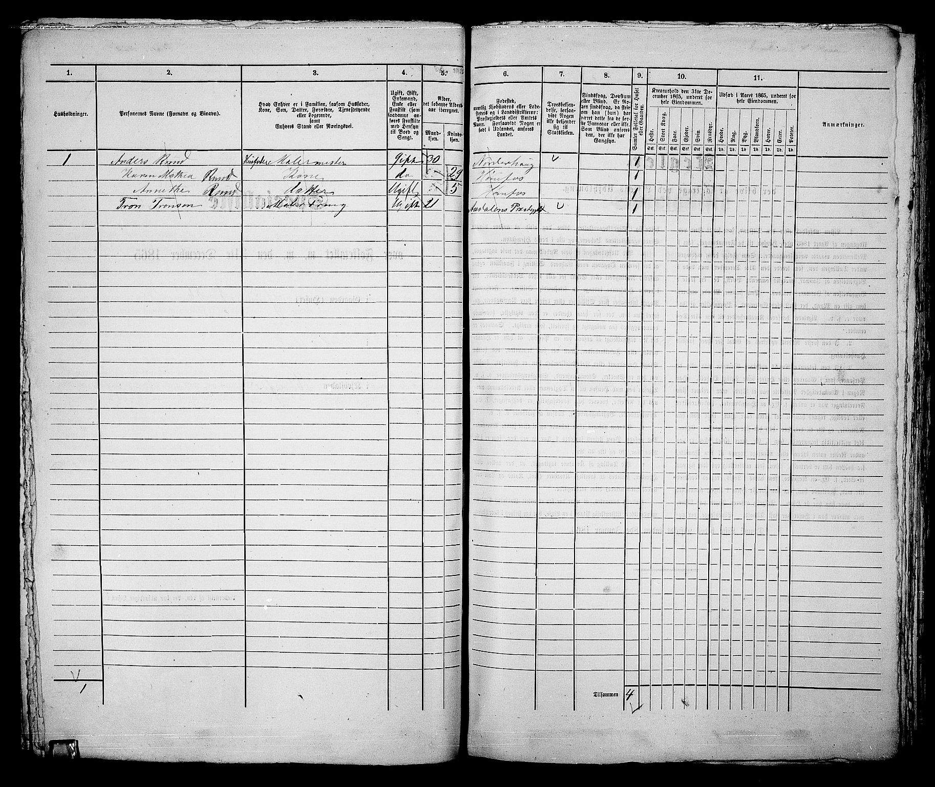 RA, 1865 census for Norderhov/Hønefoss, 1865, p. 202