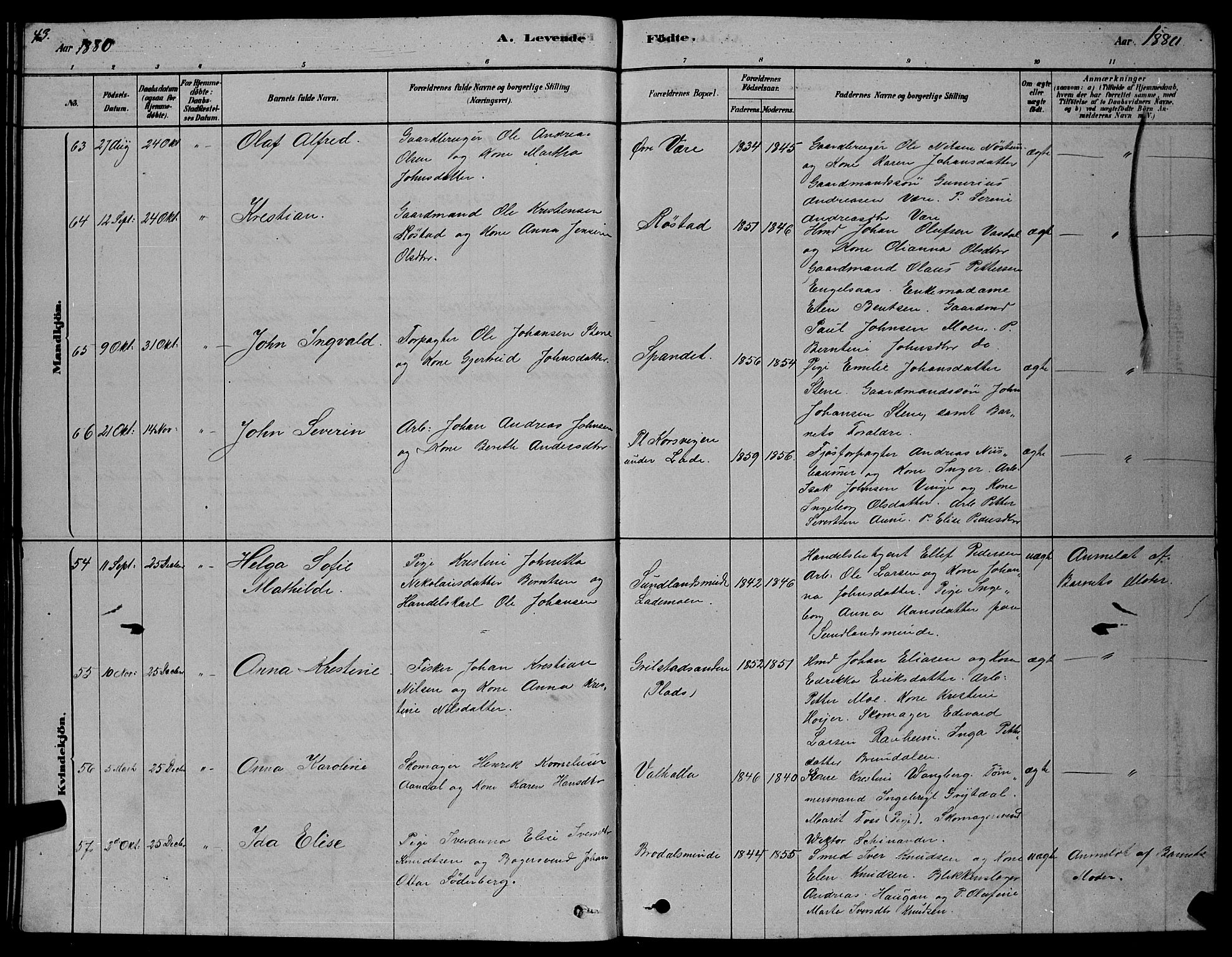 Ministerialprotokoller, klokkerbøker og fødselsregistre - Sør-Trøndelag, AV/SAT-A-1456/606/L0312: Parish register (copy) no. 606C08, 1878-1894, p. 43