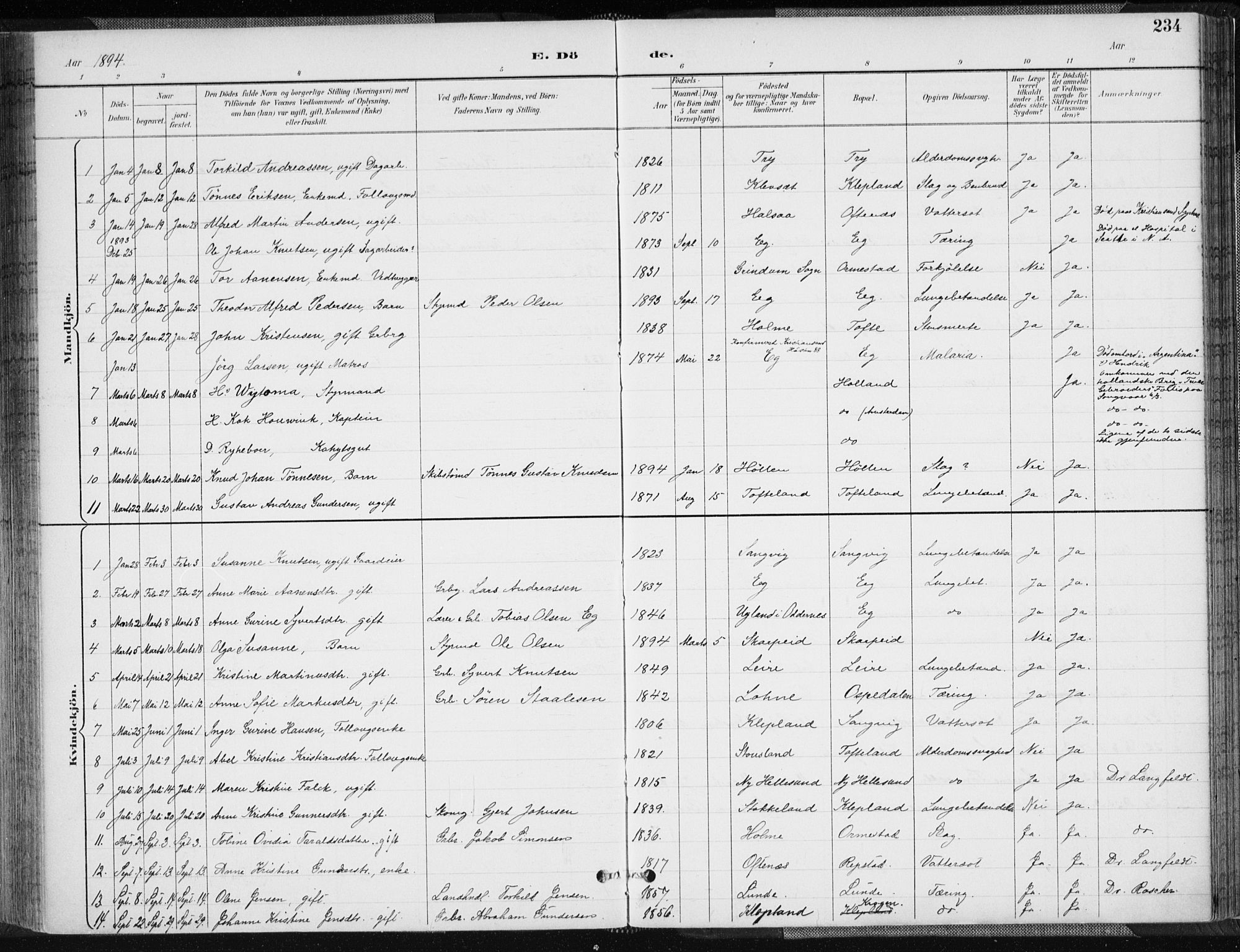 Søgne sokneprestkontor, SAK/1111-0037/F/Fa/Fab/L0013: Parish register (official) no. A 13, 1892-1911, p. 234