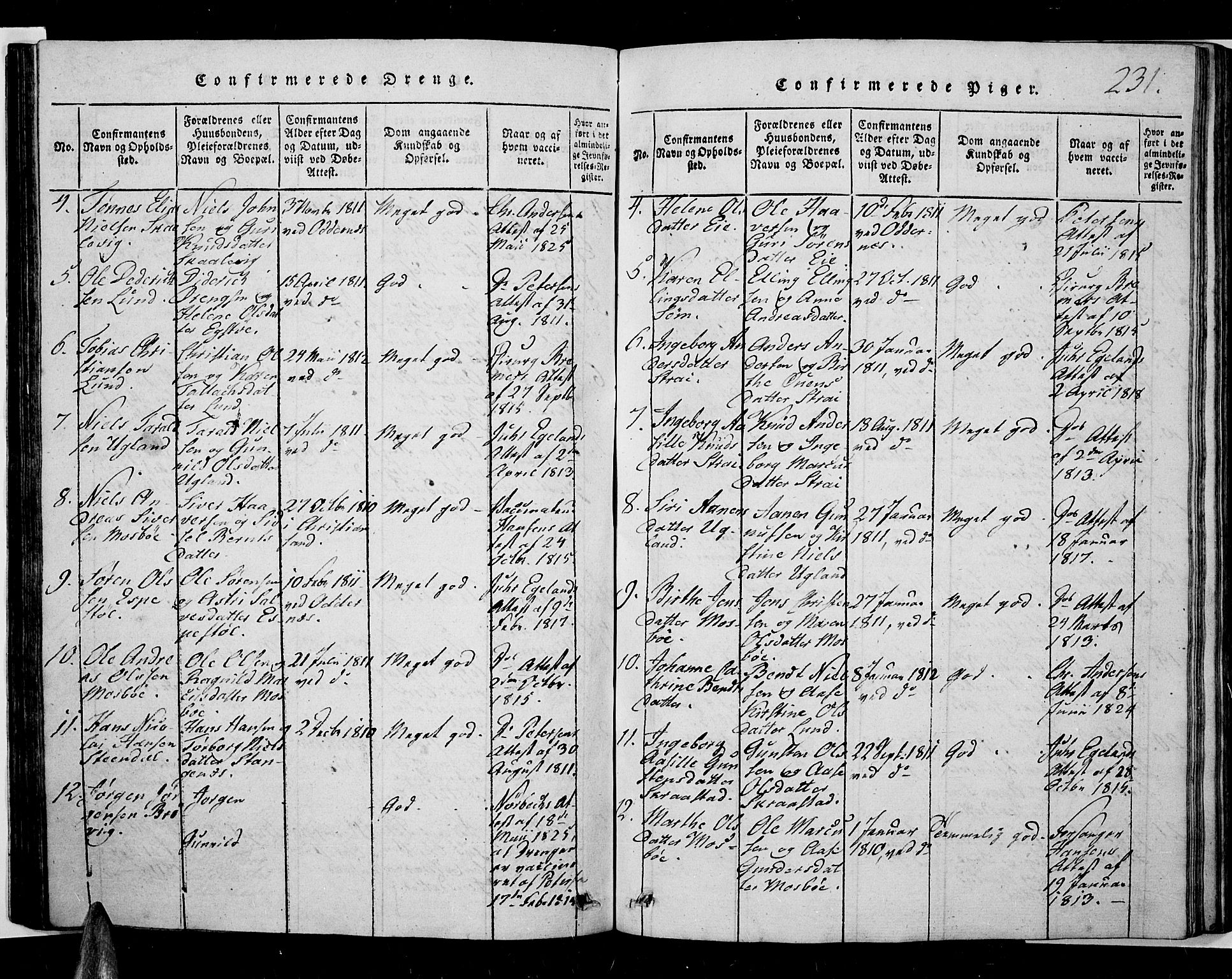 Oddernes sokneprestkontor, AV/SAK-1111-0033/F/Fb/Fba/L0003: Parish register (copy) no. B 3, 1820-1838, p. 231