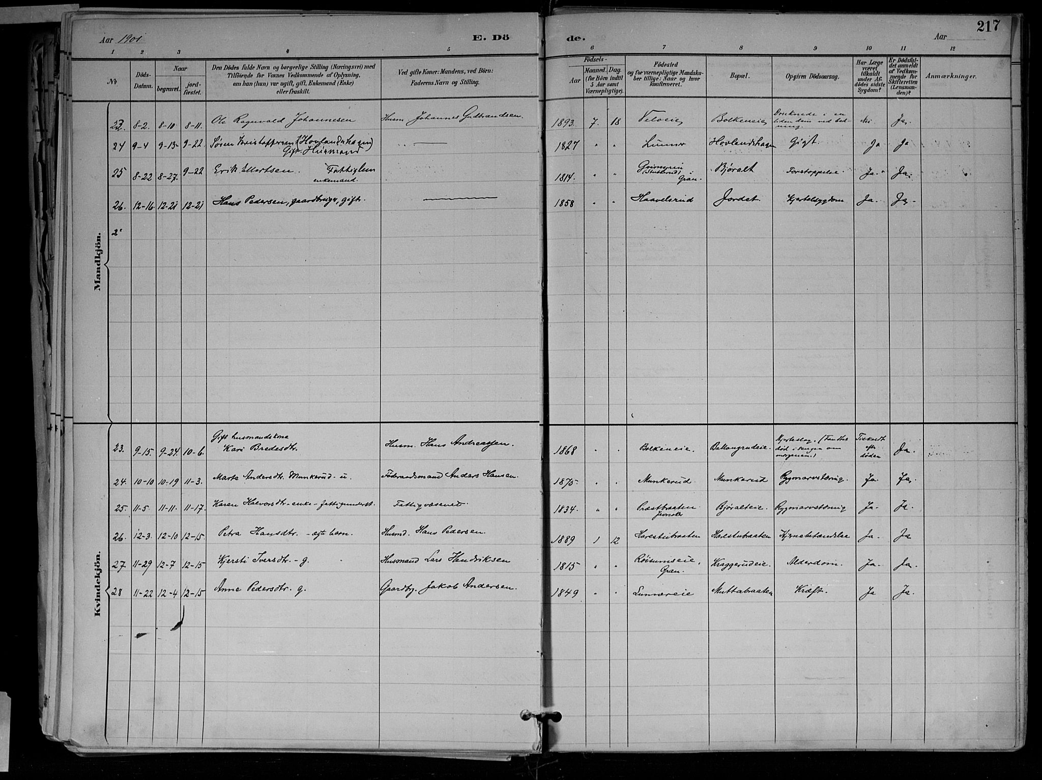 Jevnaker prestekontor, SAH/PREST-116/H/Ha/Haa/L0010: Parish register (official) no. 10, 1891-1906, p. 217