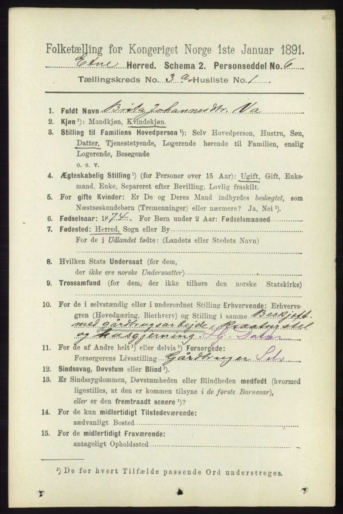 RA, 1891 census for 1211 Etne, 1891, p. 694