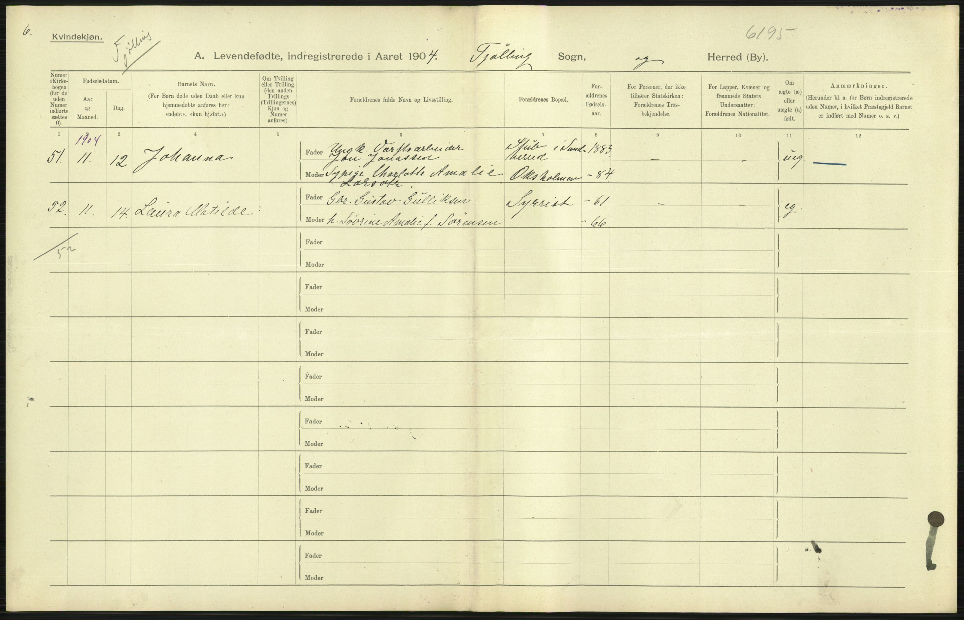 Statistisk sentralbyrå, Sosiodemografiske emner, Befolkning, AV/RA-S-2228/D/Df/Dfa/Dfab/L0008: Jarlsberg og Larvig amt: Fødte, gifte, døde, 1904, p. 65