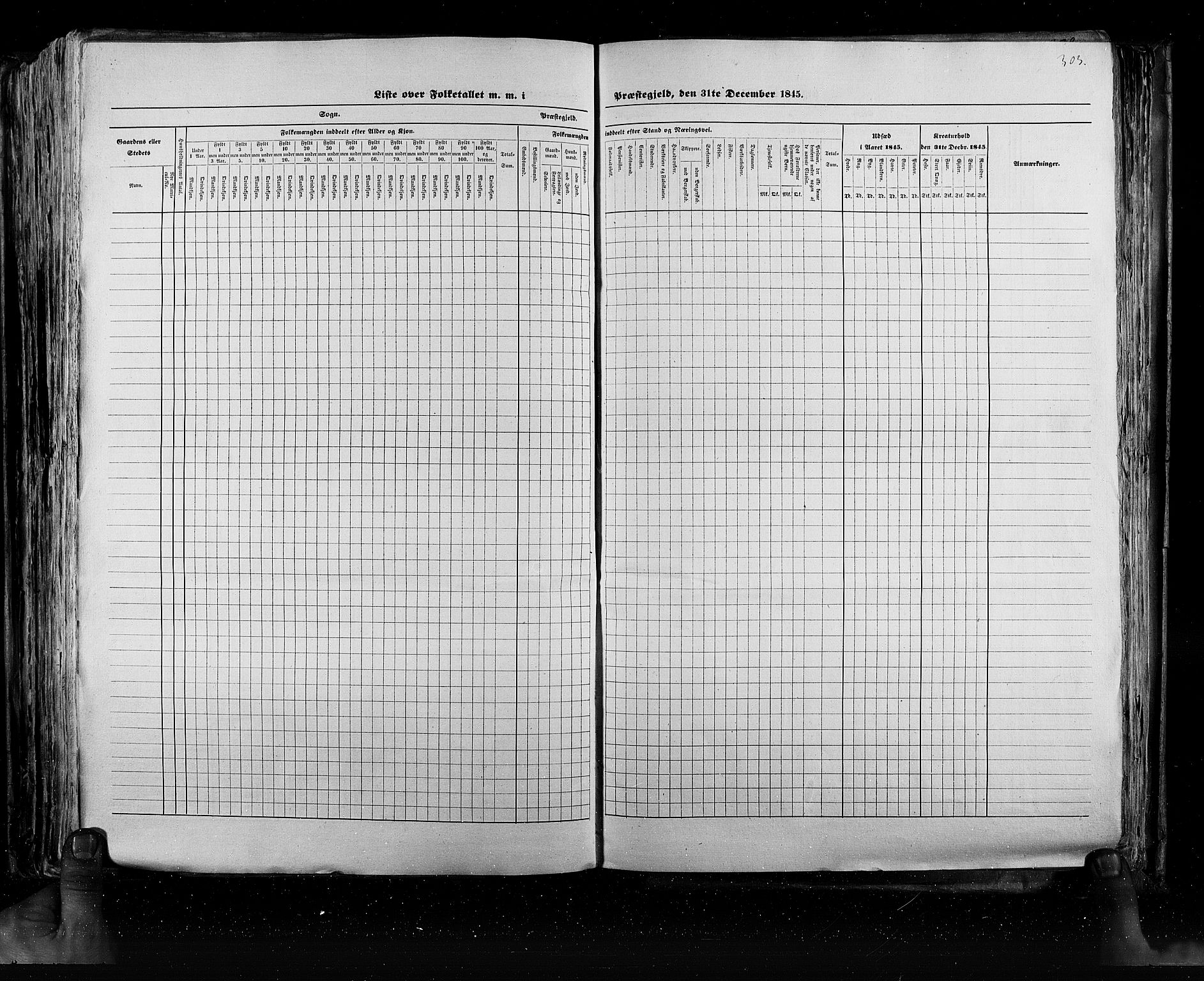 RA, Census 1845, vol. 5: Bratsberg amt og Nedenes og Råbyggelaget amt, 1845, p. 303