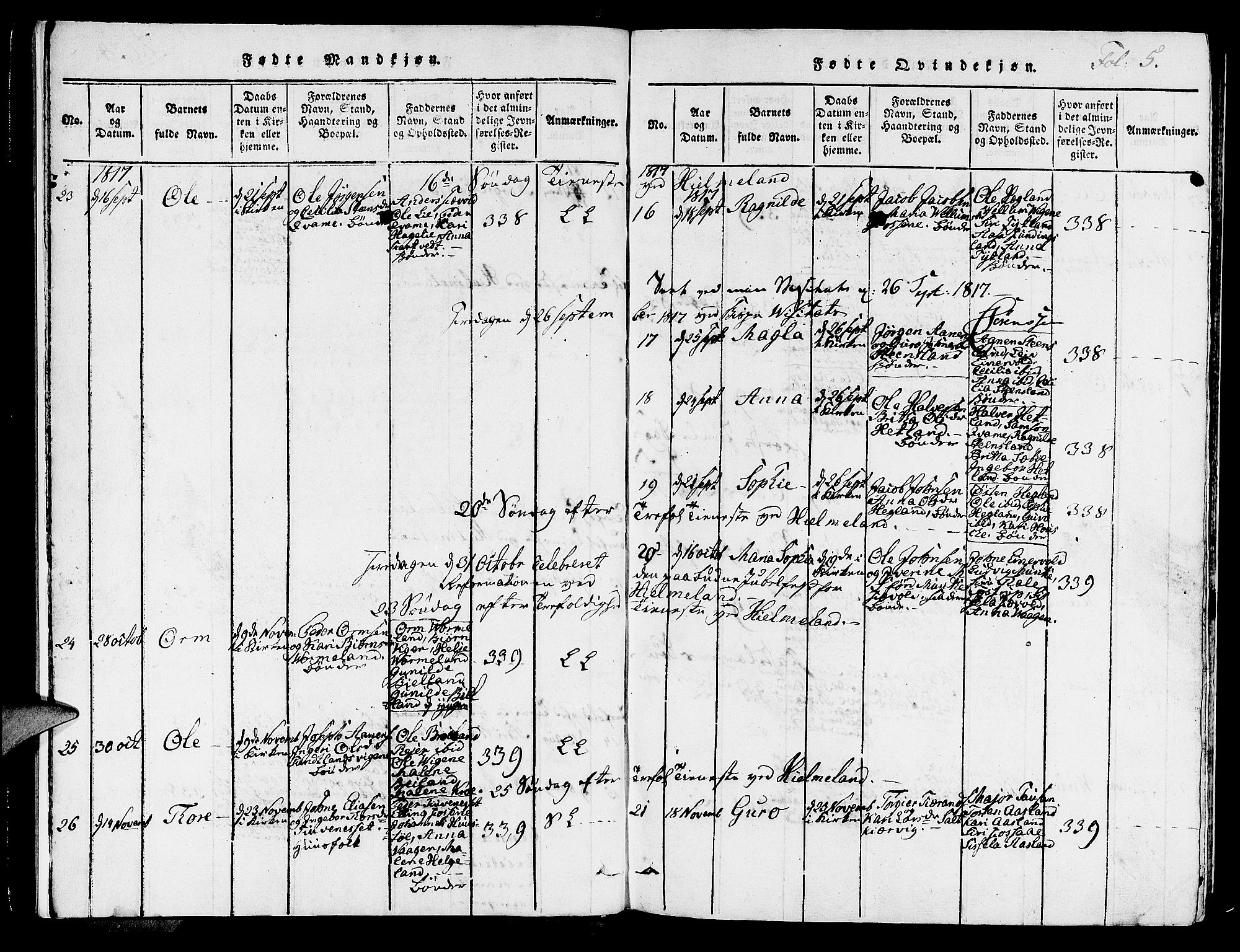 Hjelmeland sokneprestkontor, AV/SAST-A-101843/01/IV/L0003: Parish register (official) no. A 3, 1816-1834, p. 5