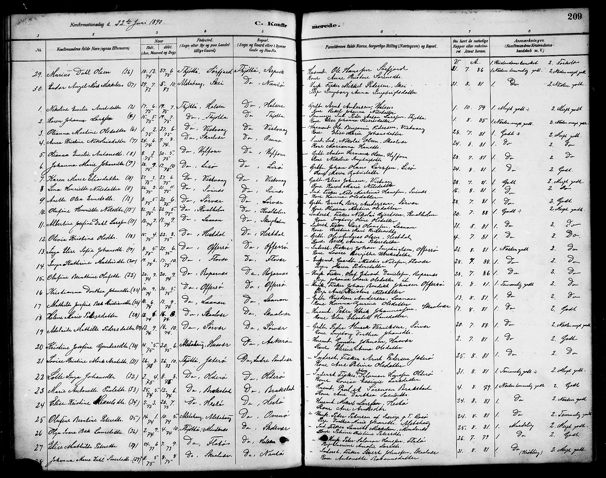 Ministerialprotokoller, klokkerbøker og fødselsregistre - Nordland, AV/SAT-A-1459/817/L0268: Parish register (copy) no. 817C03, 1884-1920, p. 209