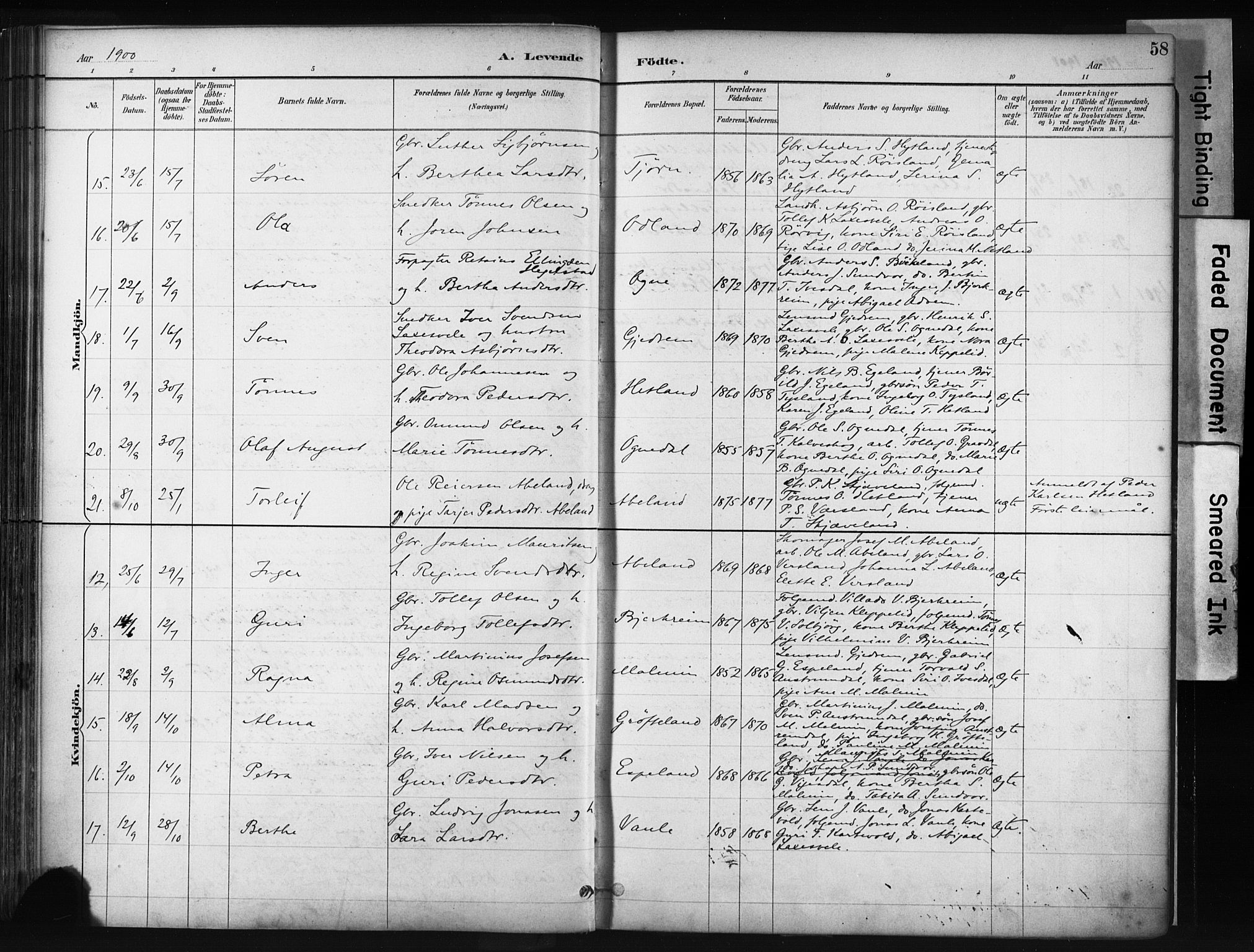 Helleland sokneprestkontor, AV/SAST-A-101810: Parish register (official) no. A 9, 1887-1908, p. 58