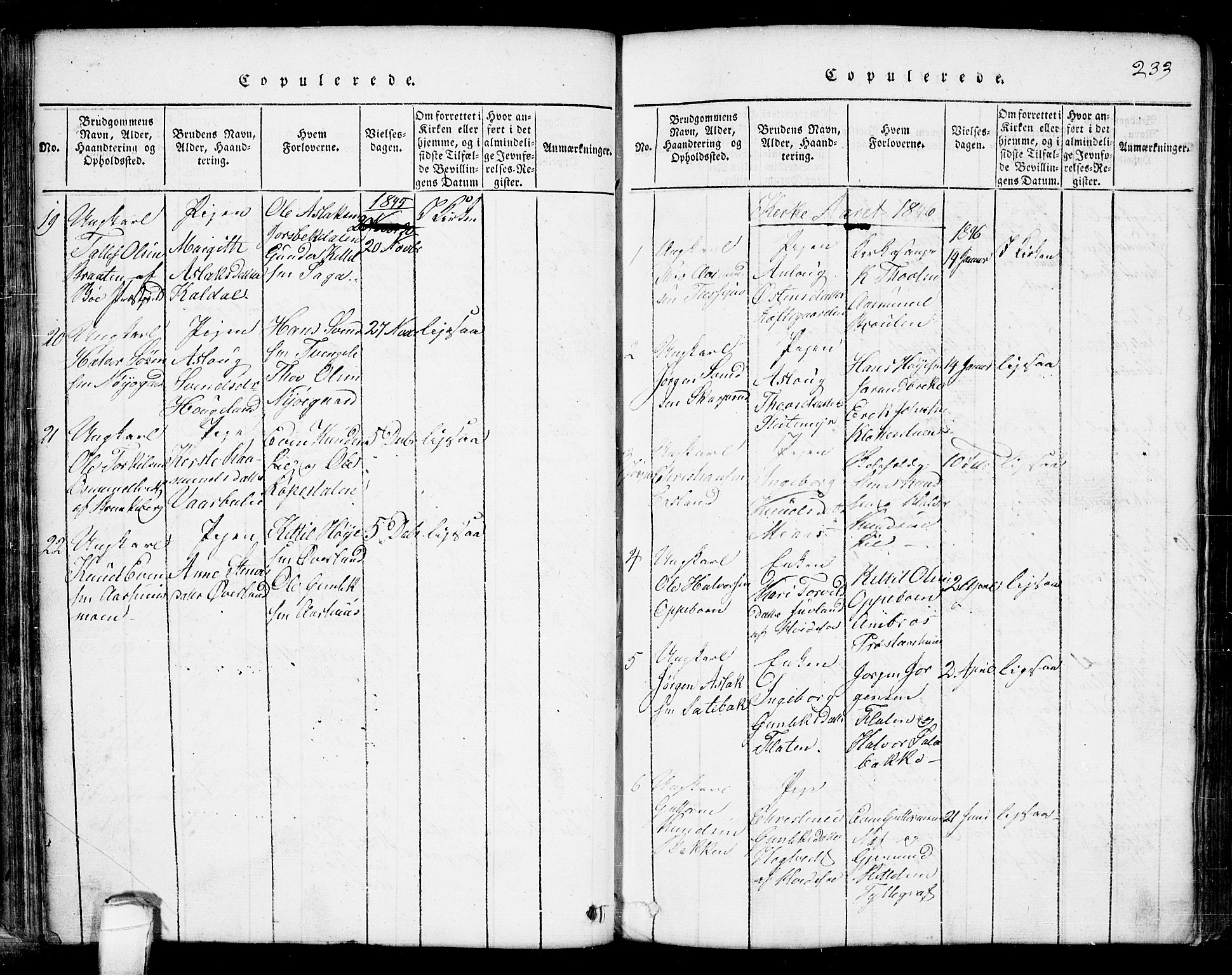 Seljord kirkebøker, SAKO/A-20/G/Ga/L0001: Parish register (copy) no. I 1, 1815-1854, p. 233