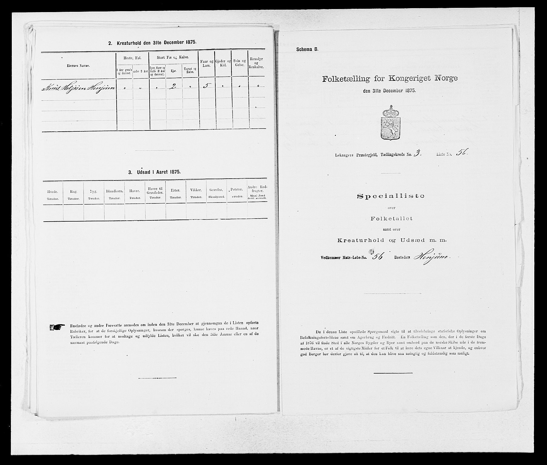 SAB, 1875 census for 1419P Leikanger, 1875, p. 305