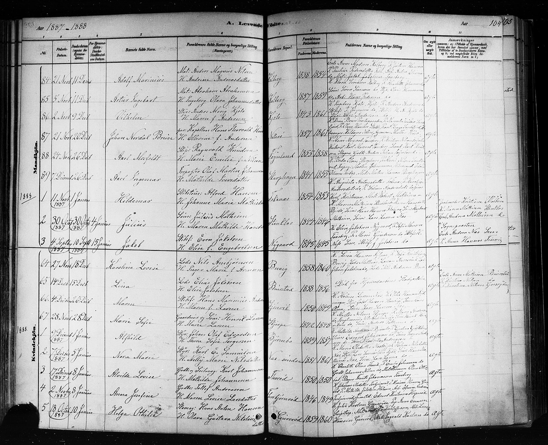 Nøtterøy kirkebøker, AV/SAKO-A-354/F/Fa/L0008: Parish register (official) no. I 8, 1878-1893, p. 104