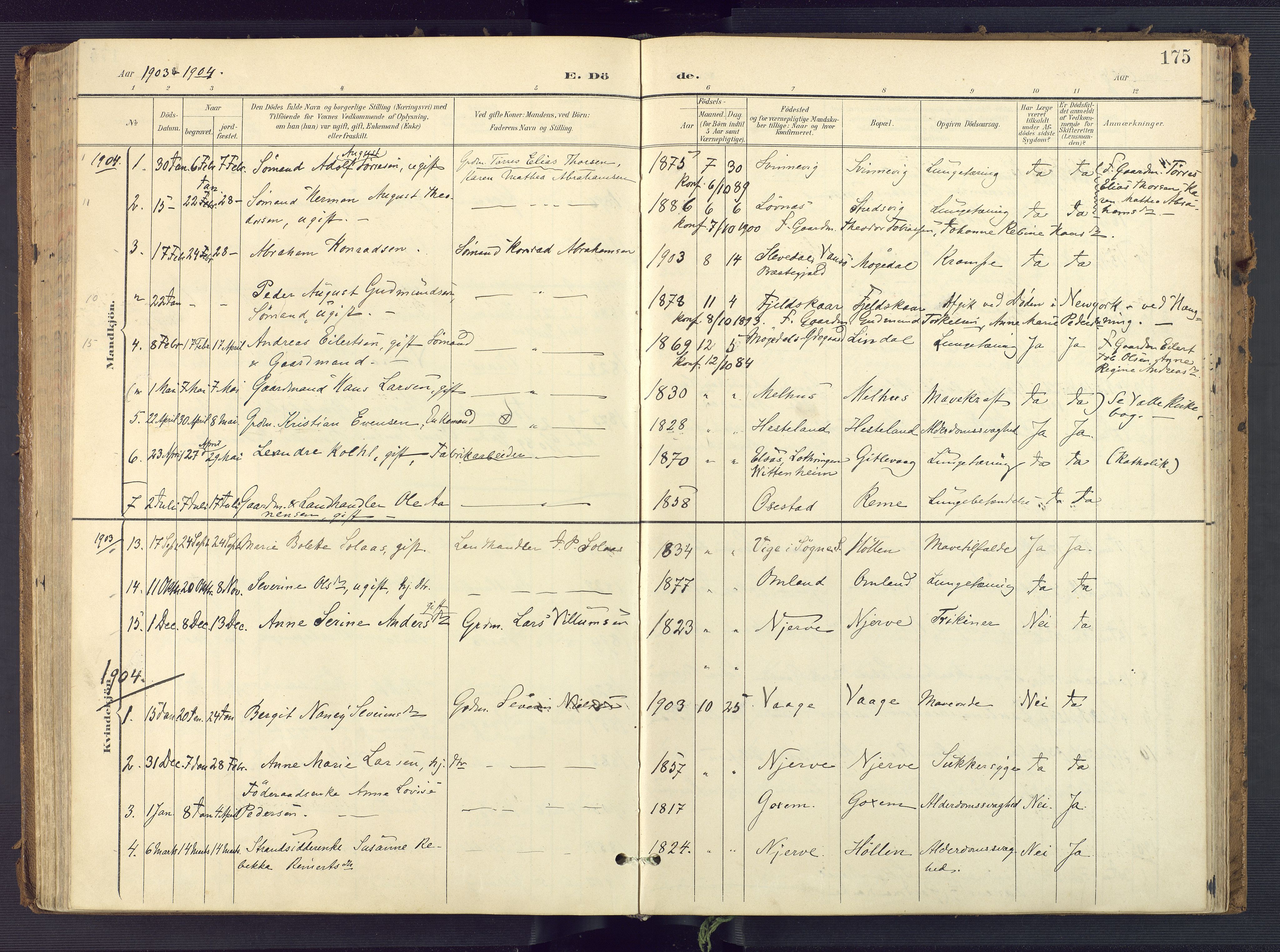 Sør-Audnedal sokneprestkontor, SAK/1111-0039/F/Fa/Faa/L0005: Parish register (official) no. A 5, 1900-1923, p. 175