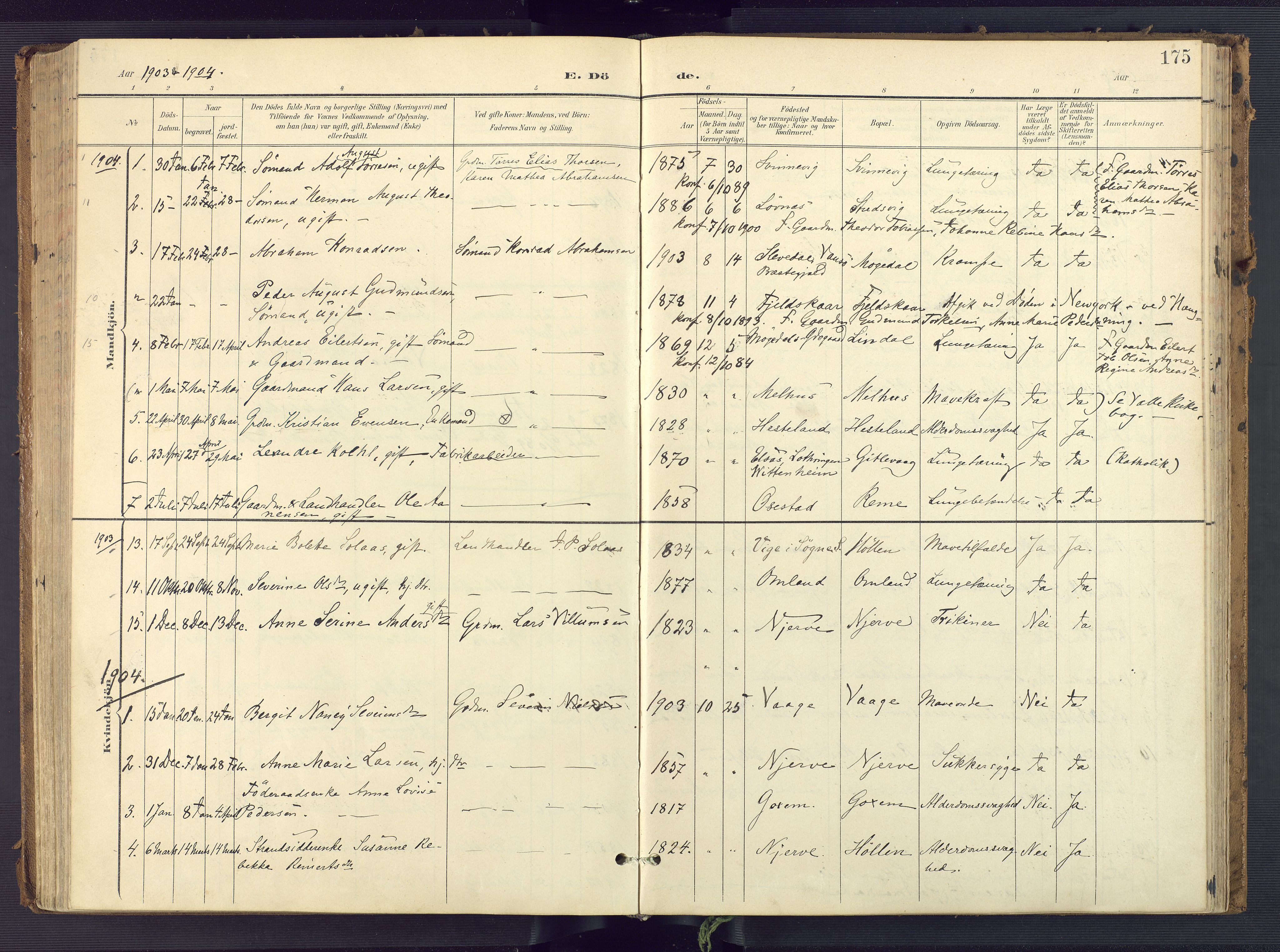 Sør-Audnedal sokneprestkontor, AV/SAK-1111-0039/F/Fa/Faa/L0005: Parish register (official) no. A 5, 1900-1923, p. 175