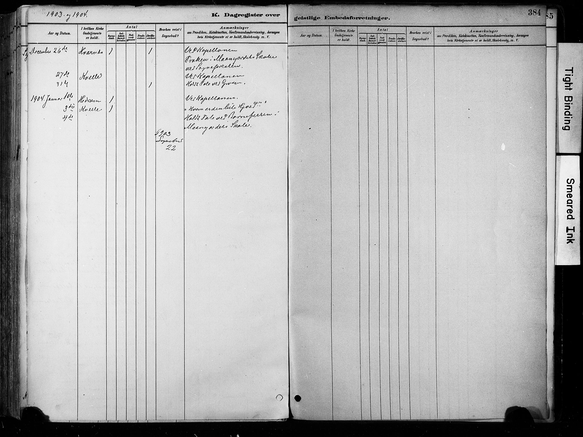 Hedrum kirkebøker, SAKO/A-344/F/Fa/L0009: Parish register (official) no. I 9, 1881-1903, p. 384