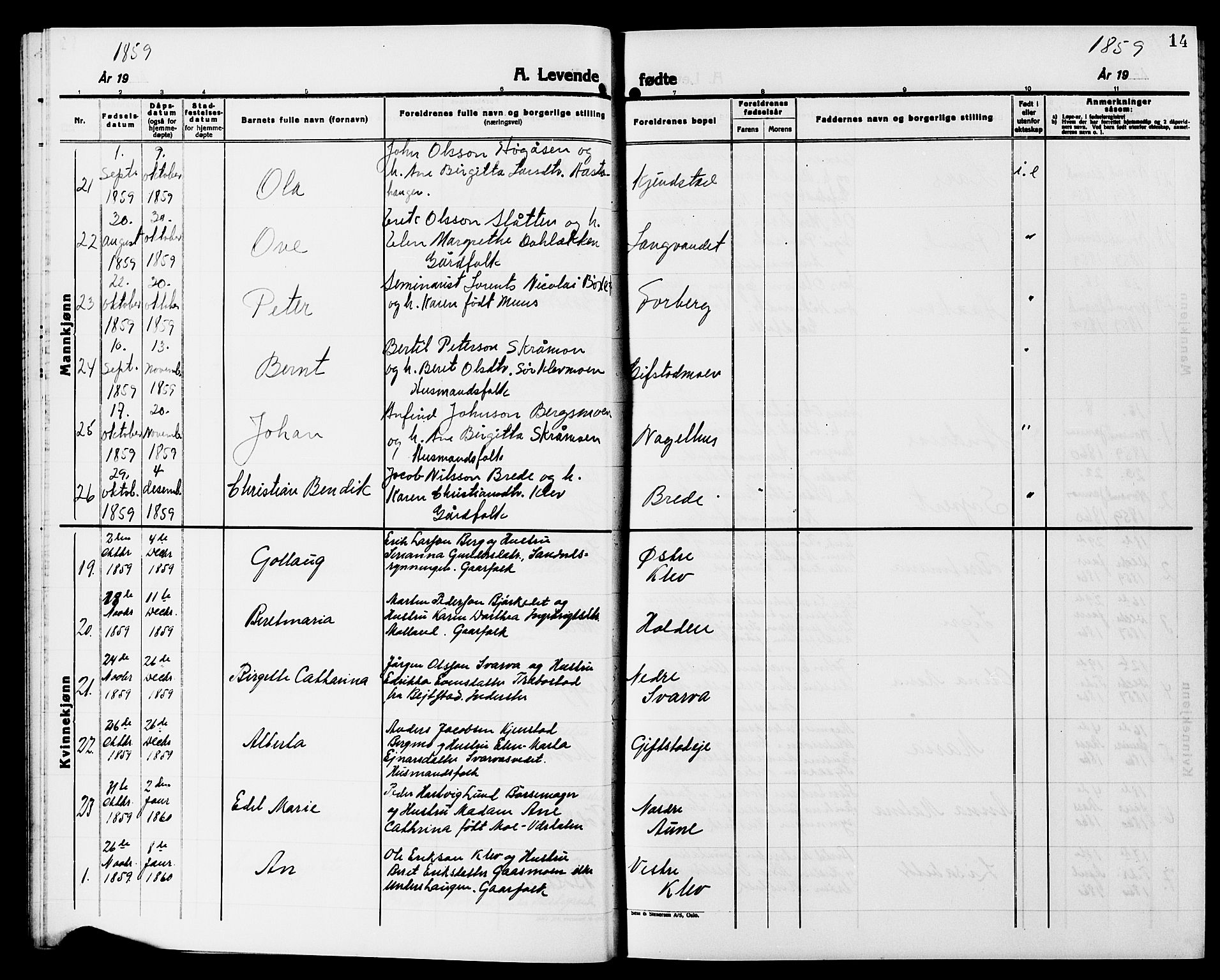 Ministerialprotokoller, klokkerbøker og fødselsregistre - Nord-Trøndelag, SAT/A-1458/749/L0485: Parish register (official) no. 749D01, 1857-1872, p. 14