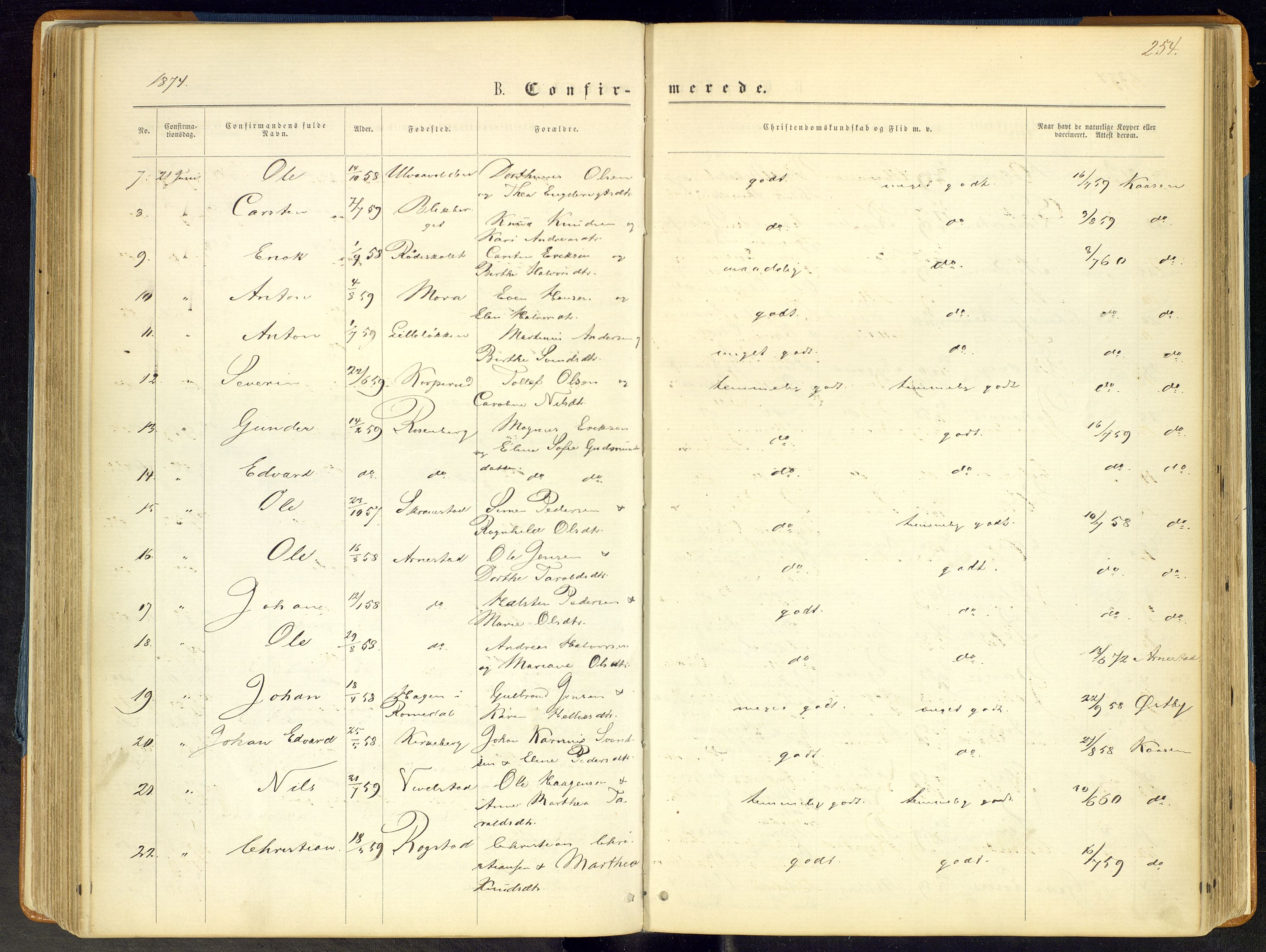 Åmot prestekontor, Hedmark, AV/SAH-PREST-056/H/Ha/Haa/L0008: Parish register (official) no. 8, 1862-1875, p. 254