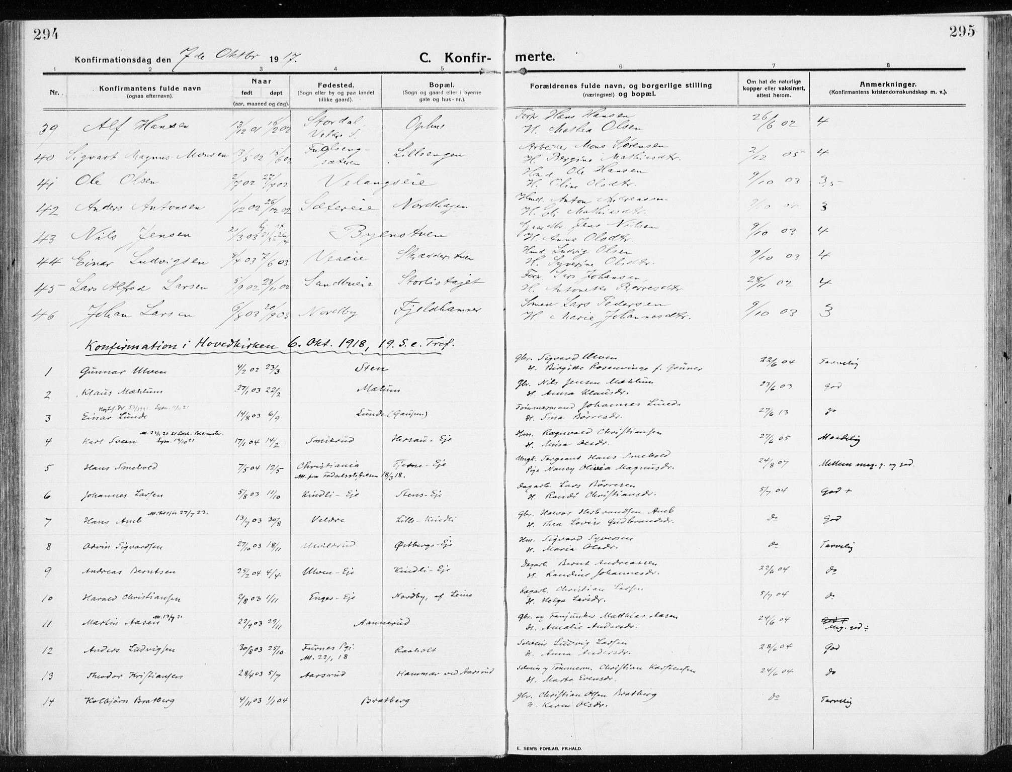 Ringsaker prestekontor, AV/SAH-PREST-014/K/Ka/L0020: Parish register (official) no. 20, 1913-1922, p. 294-295