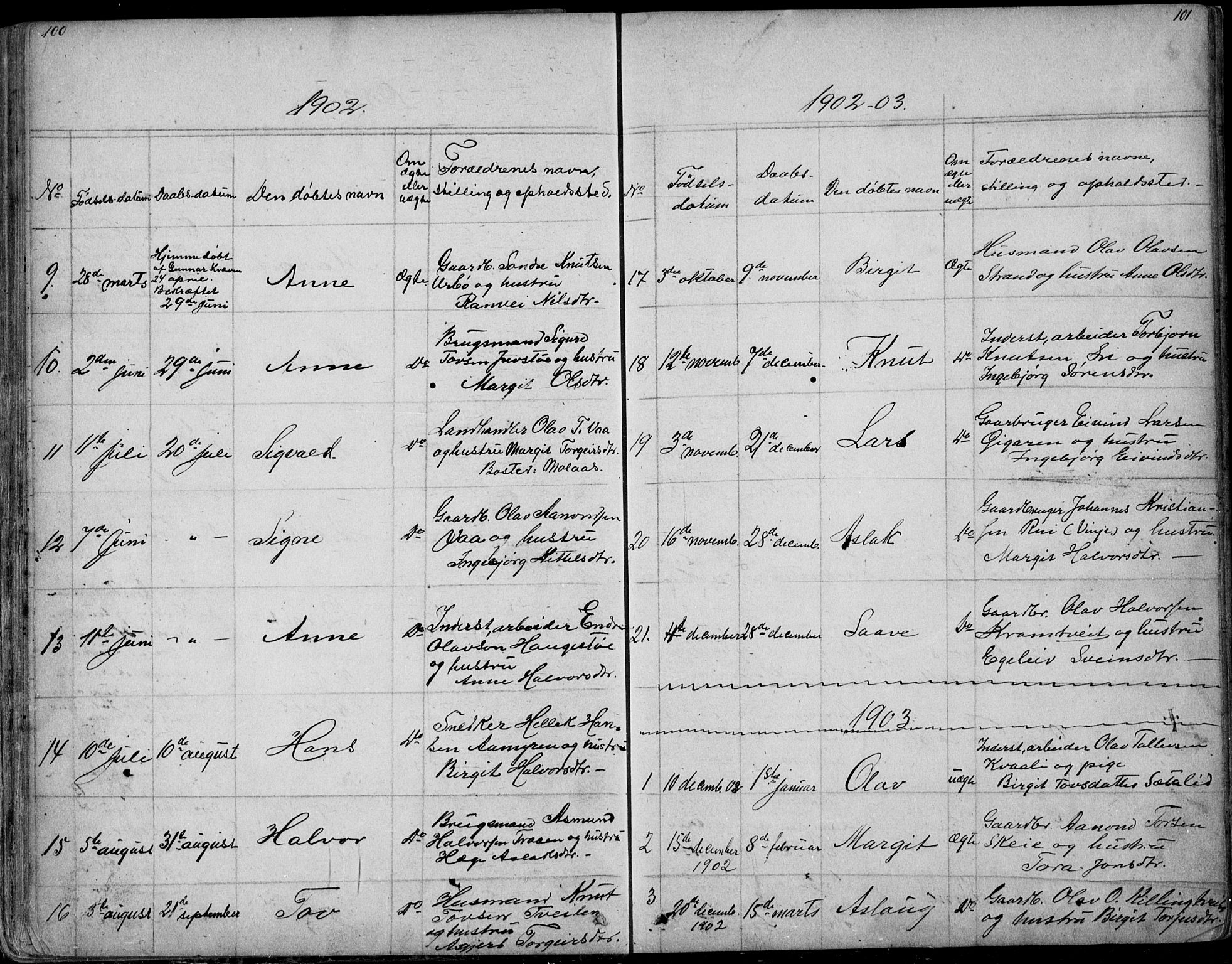 Rauland kirkebøker, SAKO/A-292/G/Ga/L0002: Parish register (copy) no. I 2, 1849-1935, p. 100-101