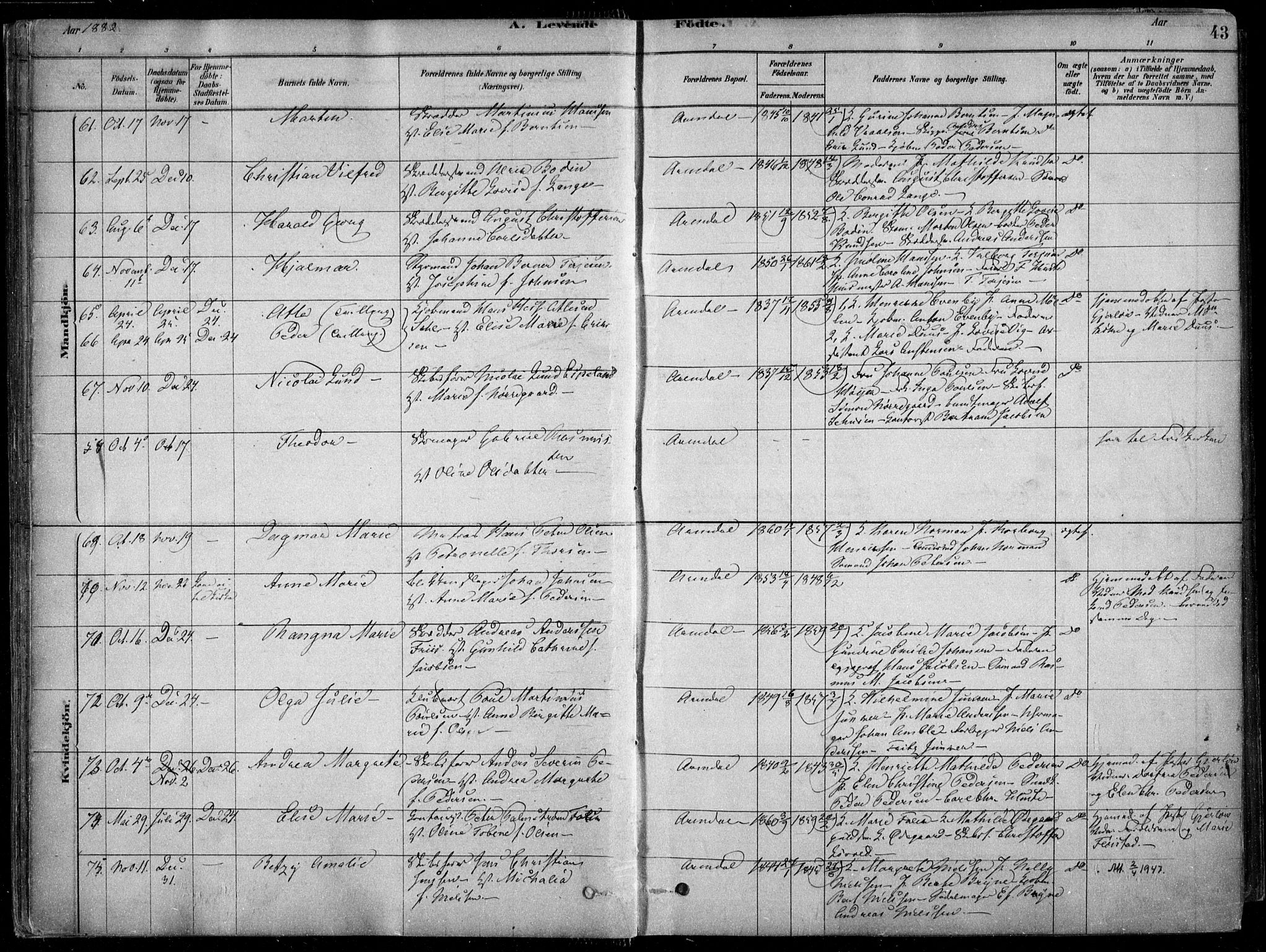 Arendal sokneprestkontor, Trefoldighet, AV/SAK-1111-0040/F/Fa/L0008: Parish register (official) no. A 8, 1878-1899, p. 43