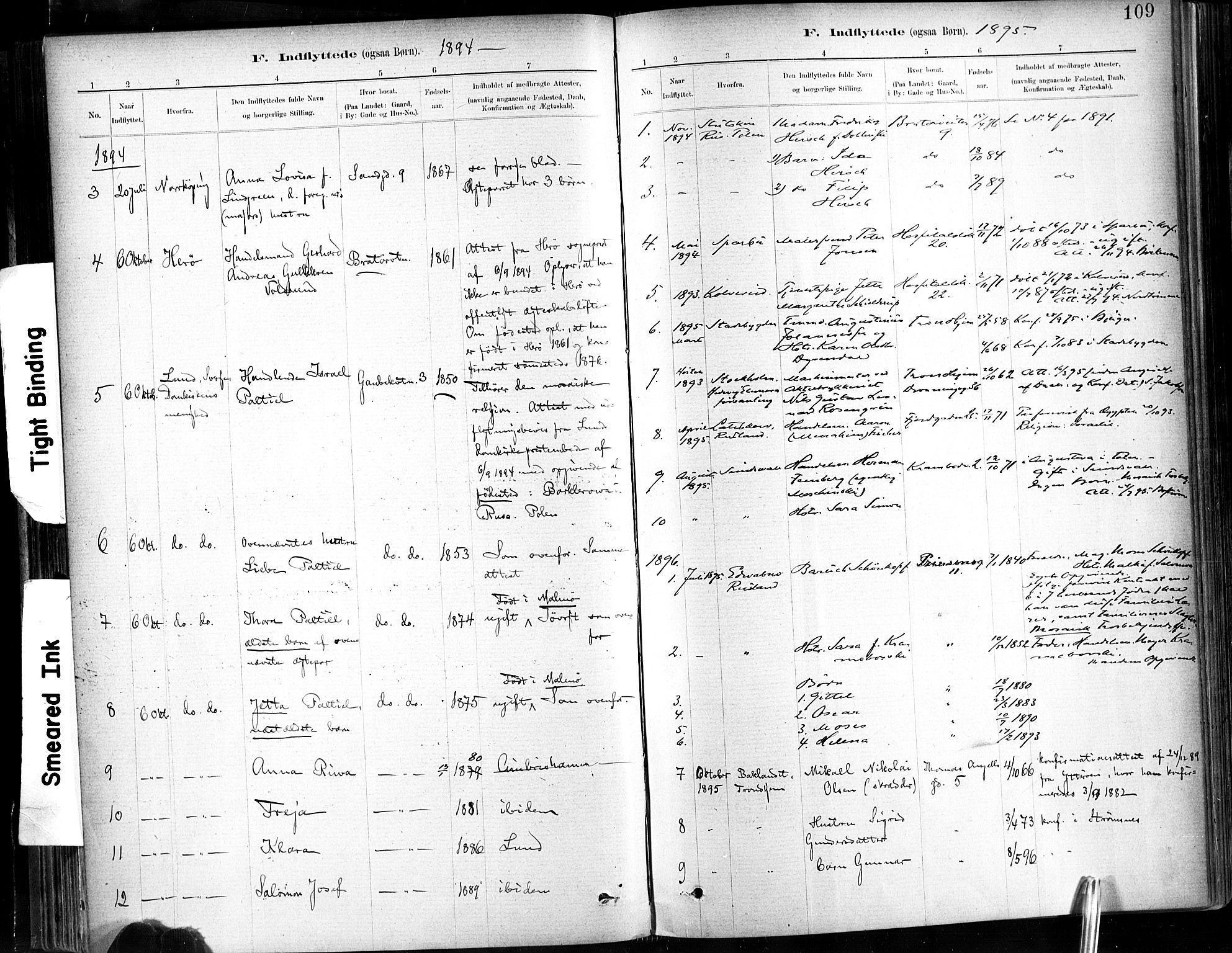 Ministerialprotokoller, klokkerbøker og fødselsregistre - Sør-Trøndelag, SAT/A-1456/602/L0120: Parish register (official) no. 602A18, 1880-1913, p. 109
