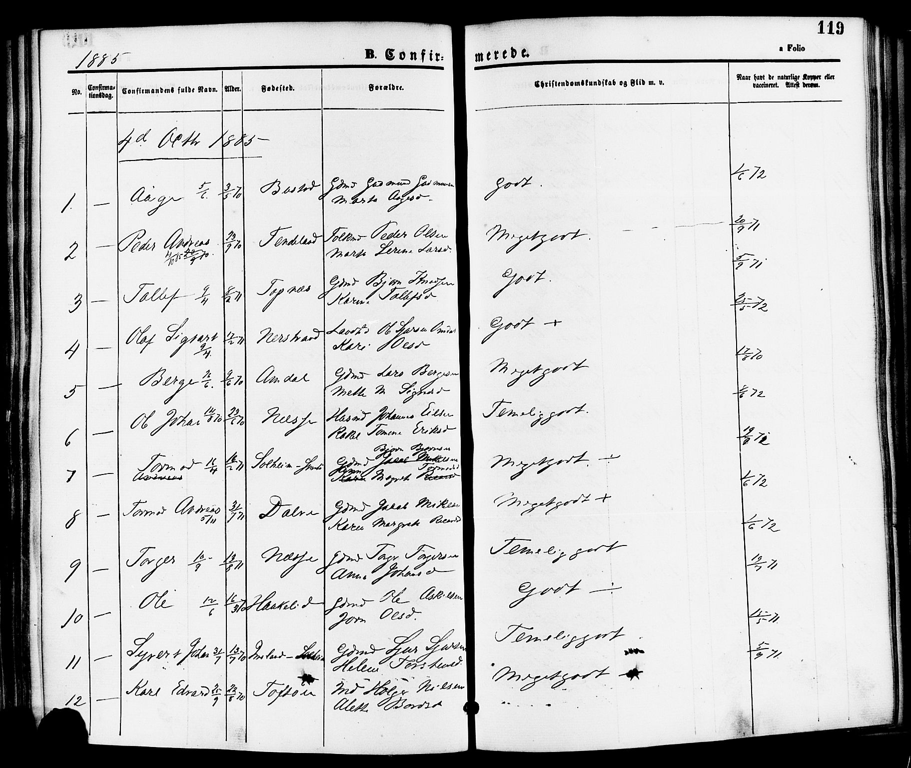 Nedstrand sokneprestkontor, SAST/A-101841/01/IV: Parish register (official) no. A 11, 1877-1887, p. 119