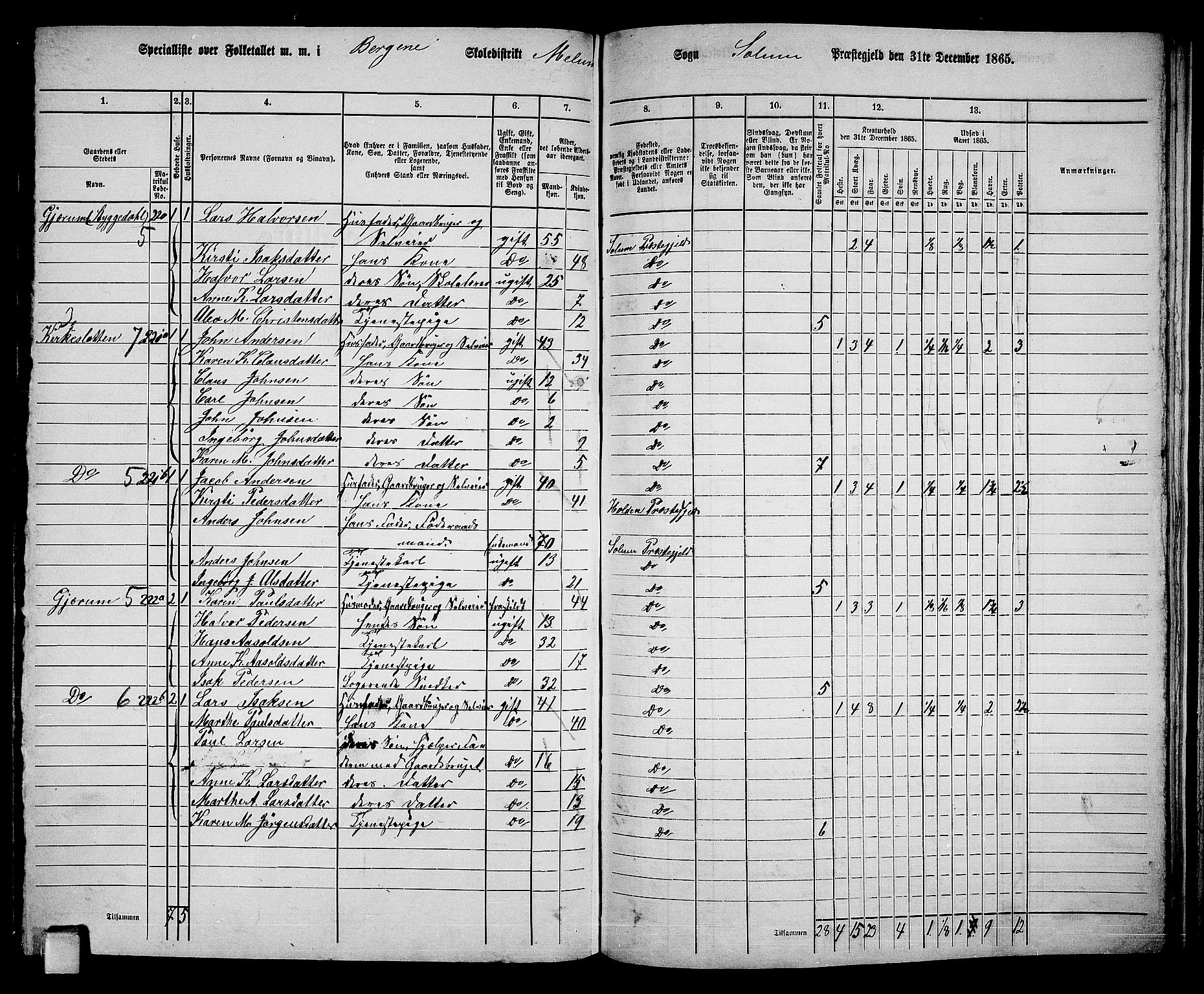 RA, 1865 census for Solum, 1865, p. 181