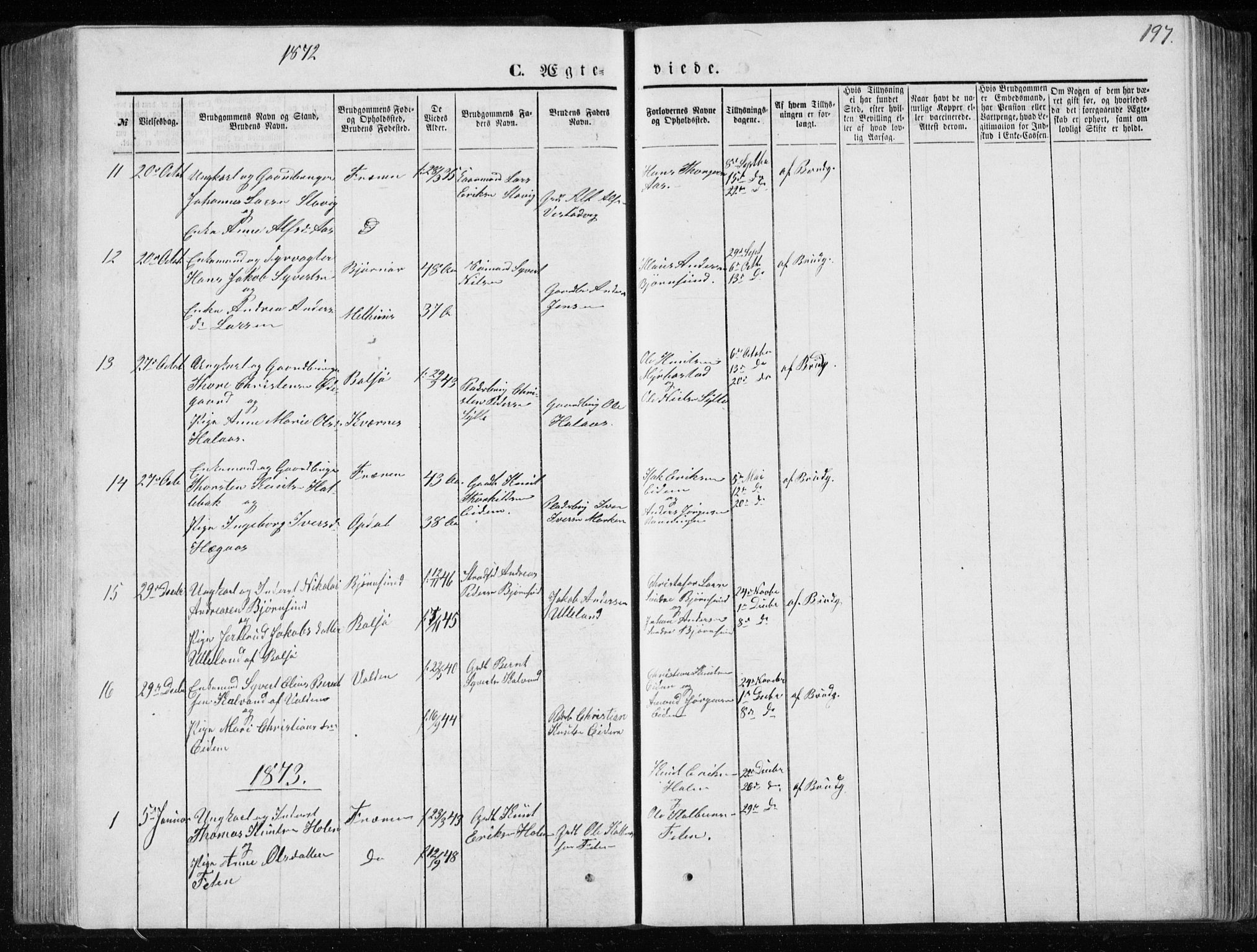 Ministerialprotokoller, klokkerbøker og fødselsregistre - Møre og Romsdal, SAT/A-1454/565/L0754: Parish register (copy) no. 565C03, 1870-1896, p. 197