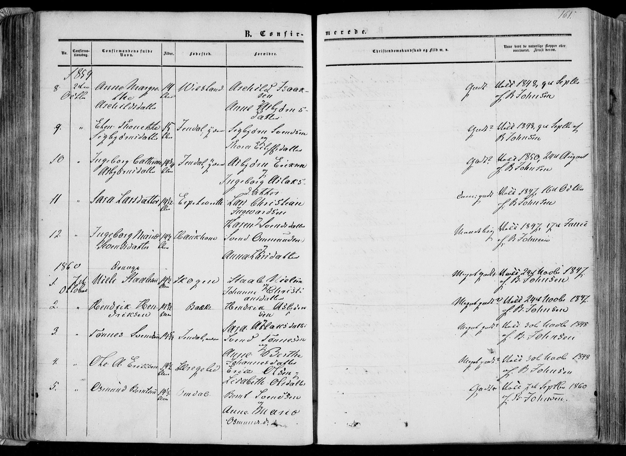 Bakke sokneprestkontor, SAK/1111-0002/F/Fa/Faa/L0006: Parish register (official) no. A 6, 1855-1877, p. 161