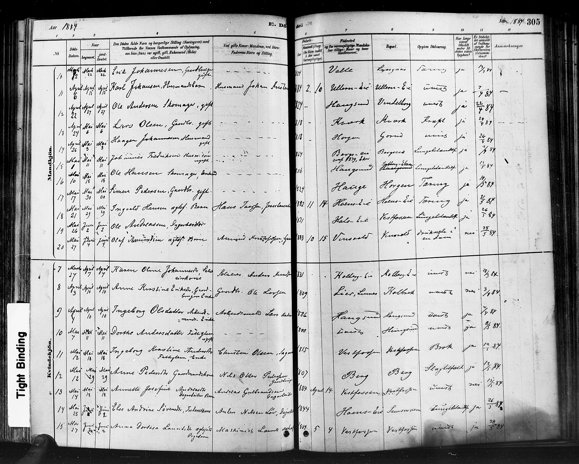 Eiker kirkebøker, AV/SAKO-A-4/F/Fb/L0001: Parish register (official) no. II 1, 1878-1888, p. 305