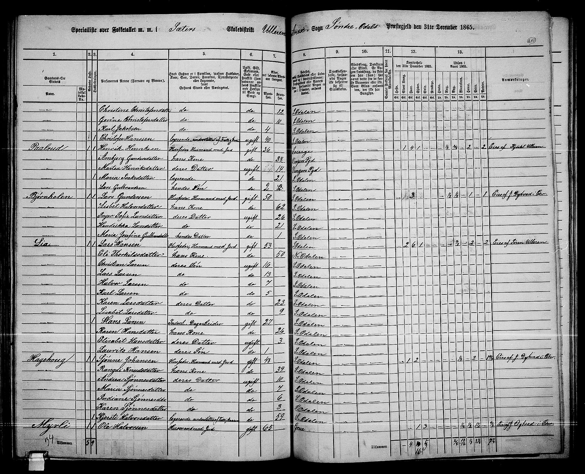 RA, 1865 census for Sør-Odal, 1865, p. 221