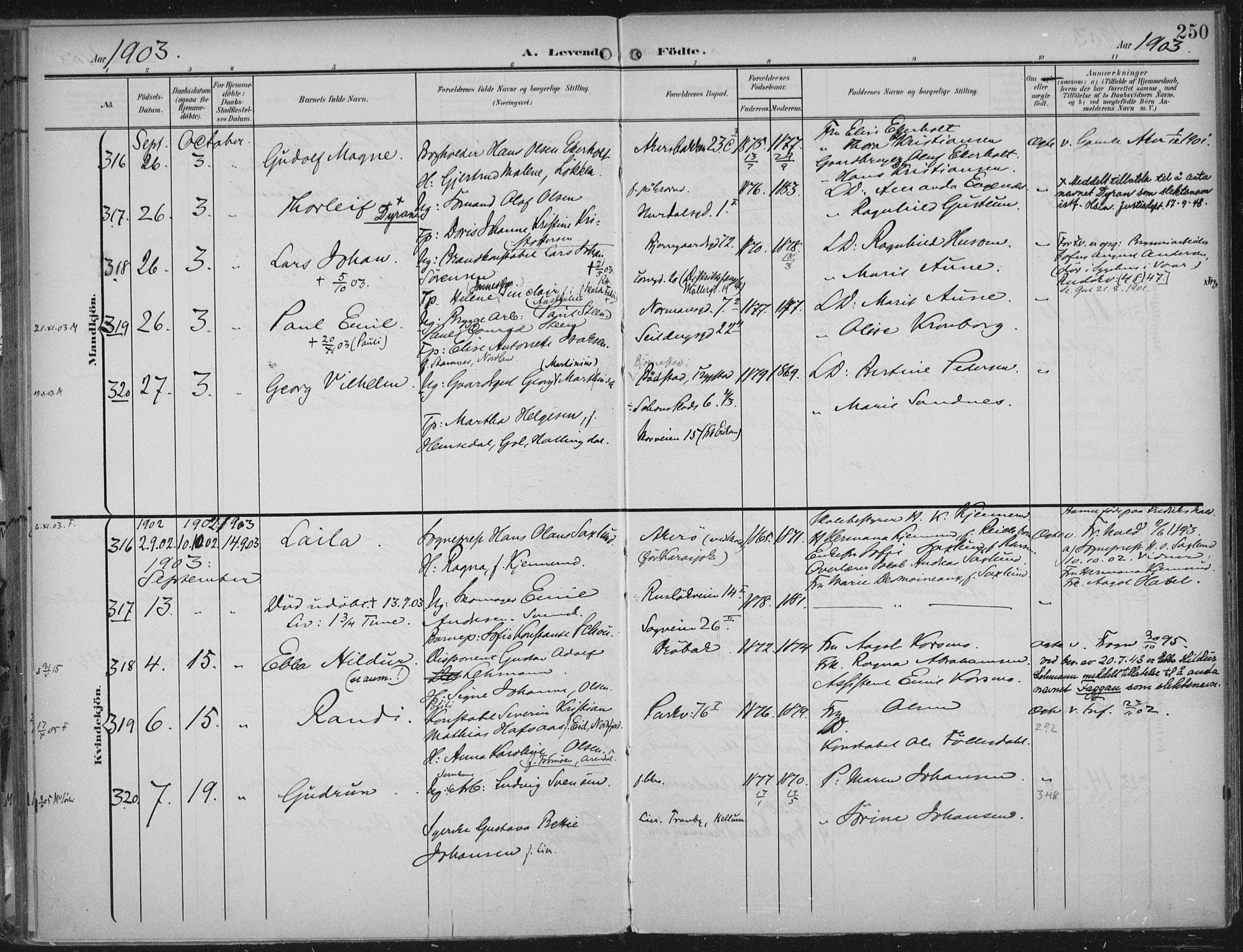 Rikshospitalet prestekontor Kirkebøker, SAO/A-10309b/F/L0012: Parish register (official) no. 12, 1901-1904, p. 250