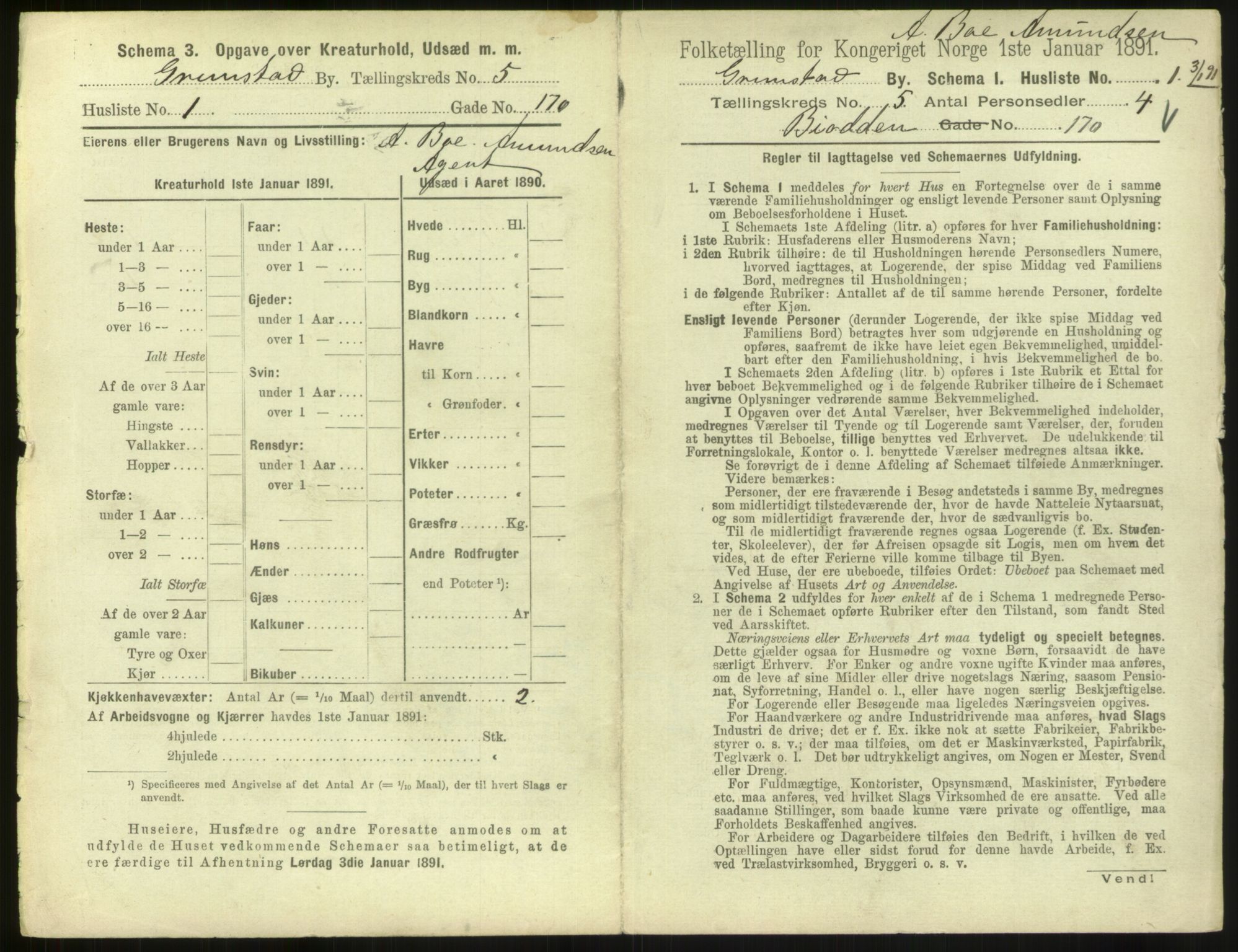 RA, 1891 census for 0904 Grimstad, 1891, p. 570