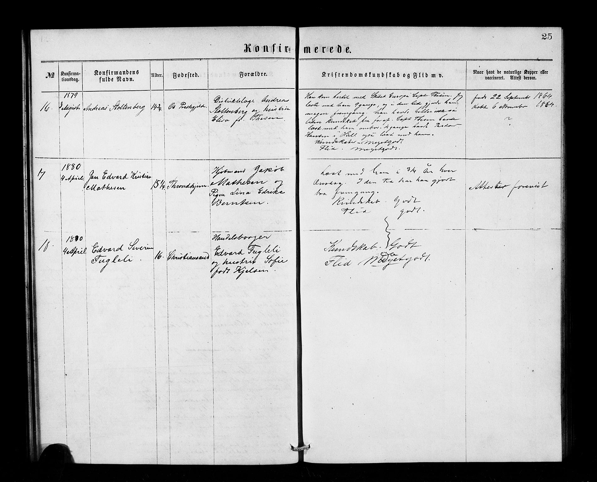 Den norske sjømannsmisjon i utlandet/Tyne-havnene (North Shields og New Castle), SAB/SAB/PA-0101/H/Ha/L0001: Parish register (official) no. A 1, 1865-1883, p. 25