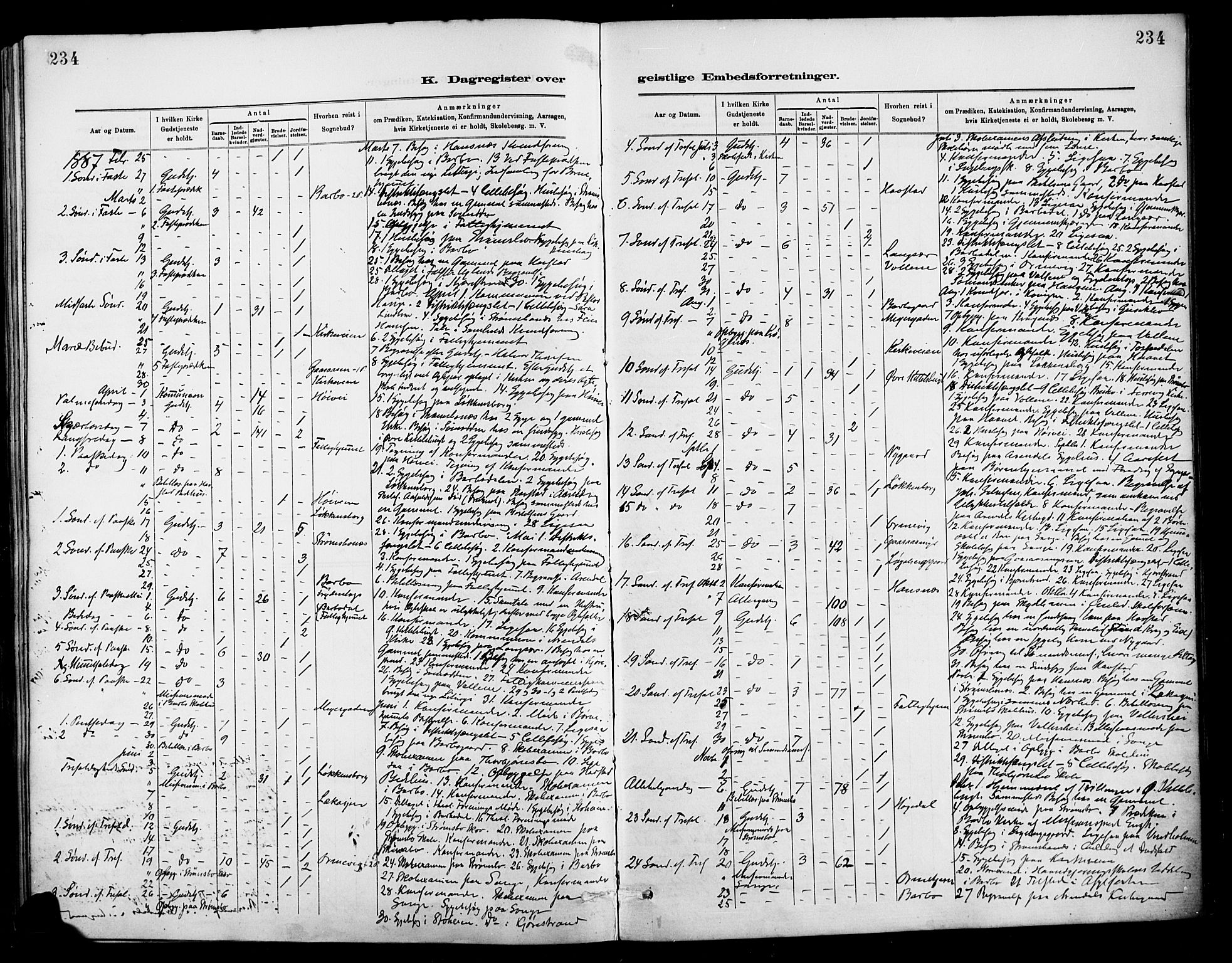 Barbu sokneprestkontor, AV/SAK-1111-0003/F/Fa/L0003: Parish register (official) no. A 3, 1883-1898, p. 234