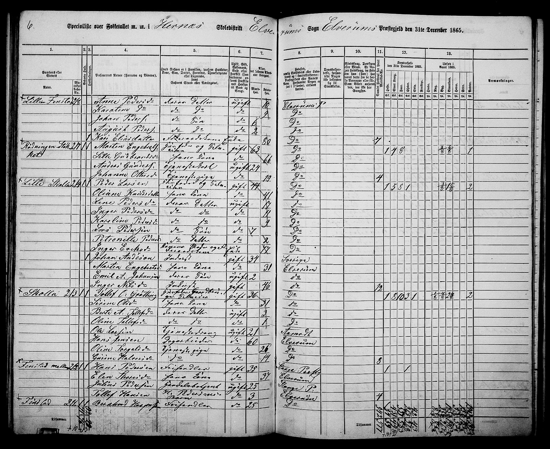 RA, 1865 census for Elverum, 1865, p. 172