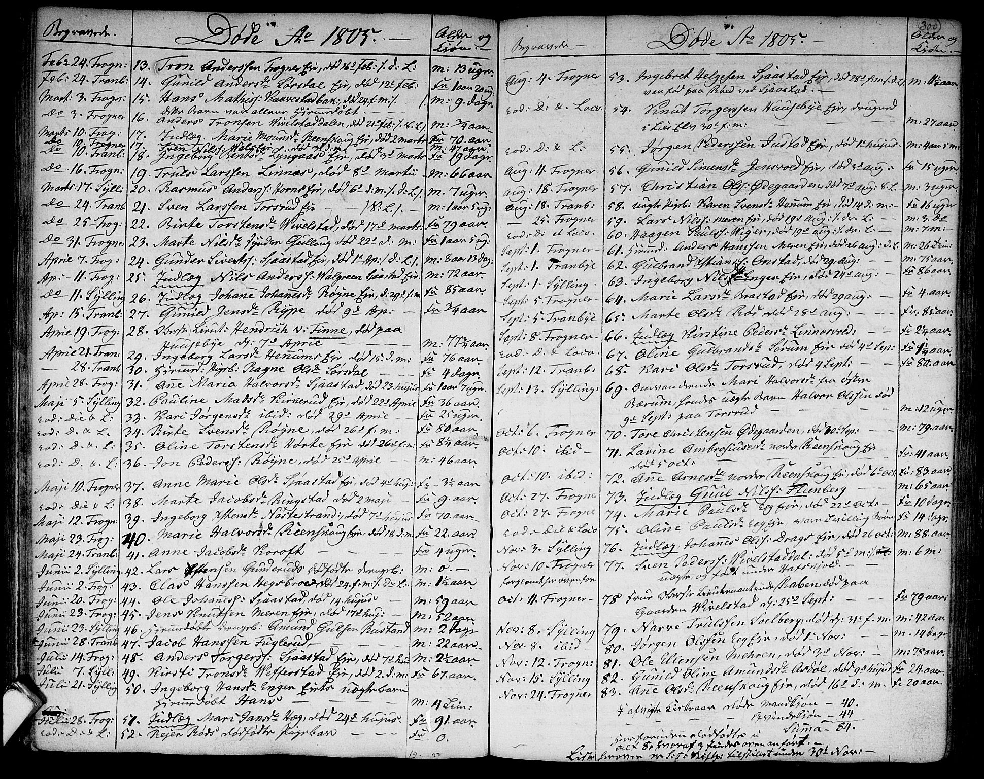 Lier kirkebøker, SAKO/A-230/F/Fa/L0007: Parish register (official) no. I 7, 1794-1813, p. 300