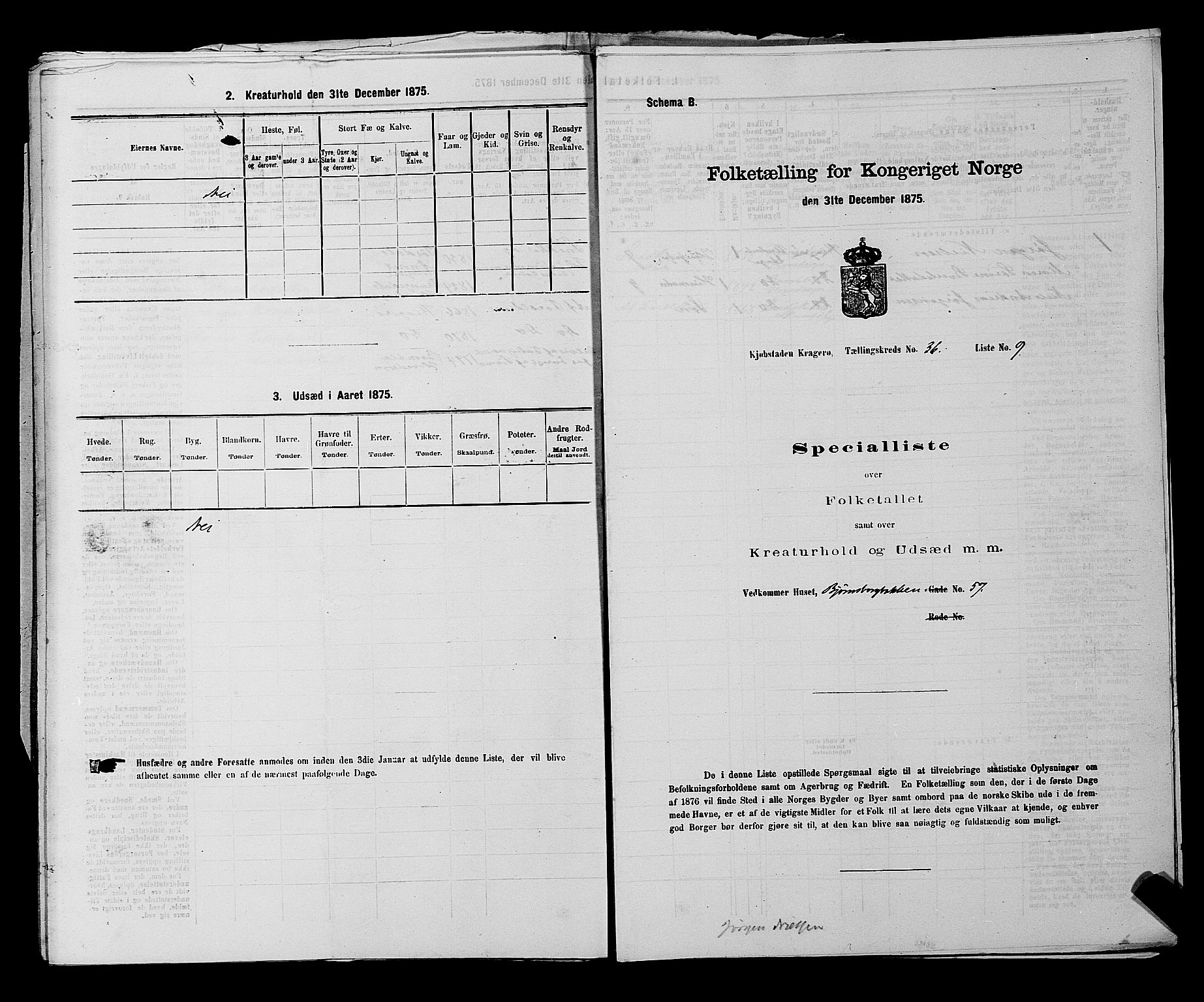 SAKO, 1875 census for 0801P Kragerø, 1875, p. 821